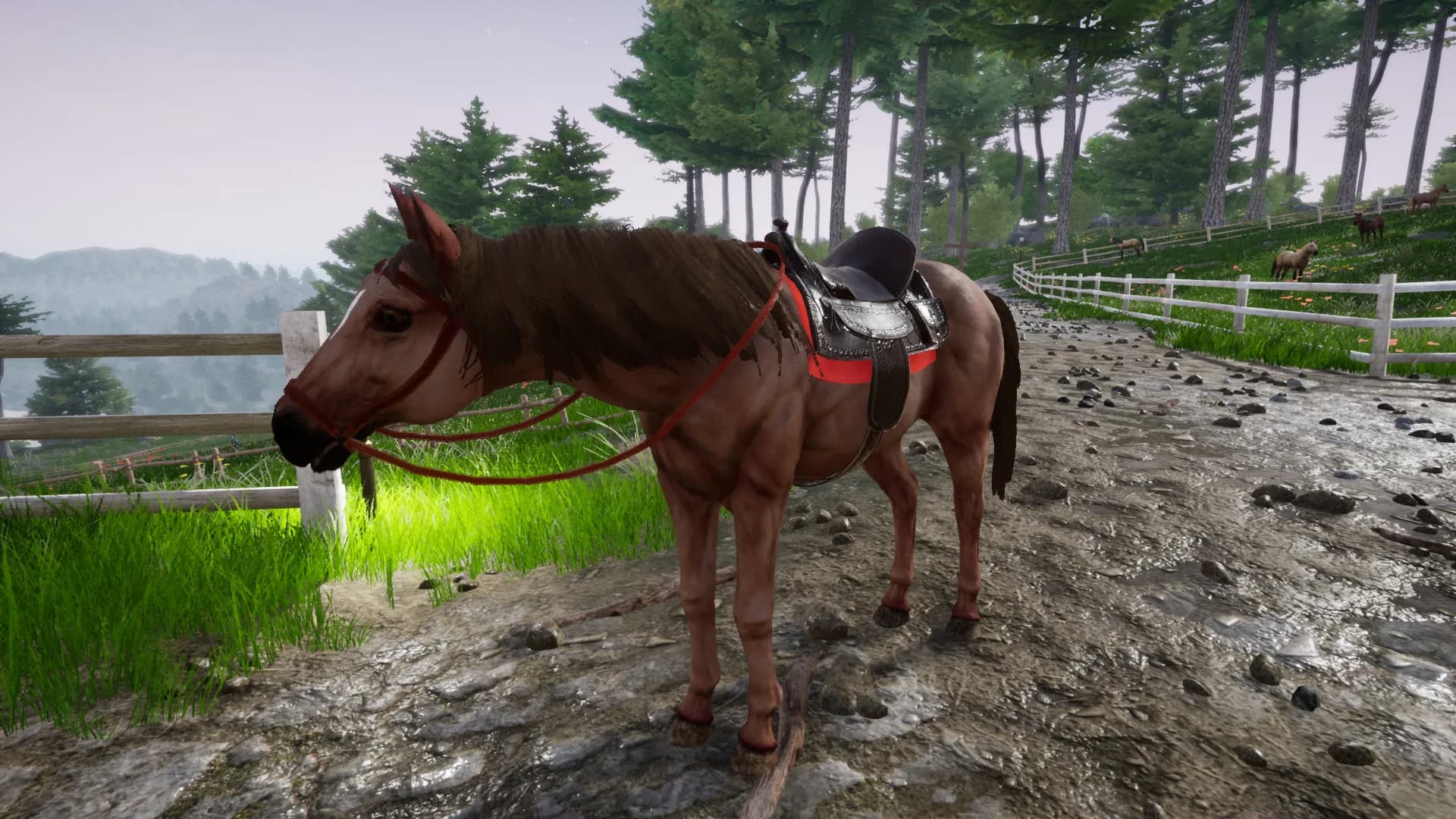 Horse Riding Deluxe 2 görsel 5