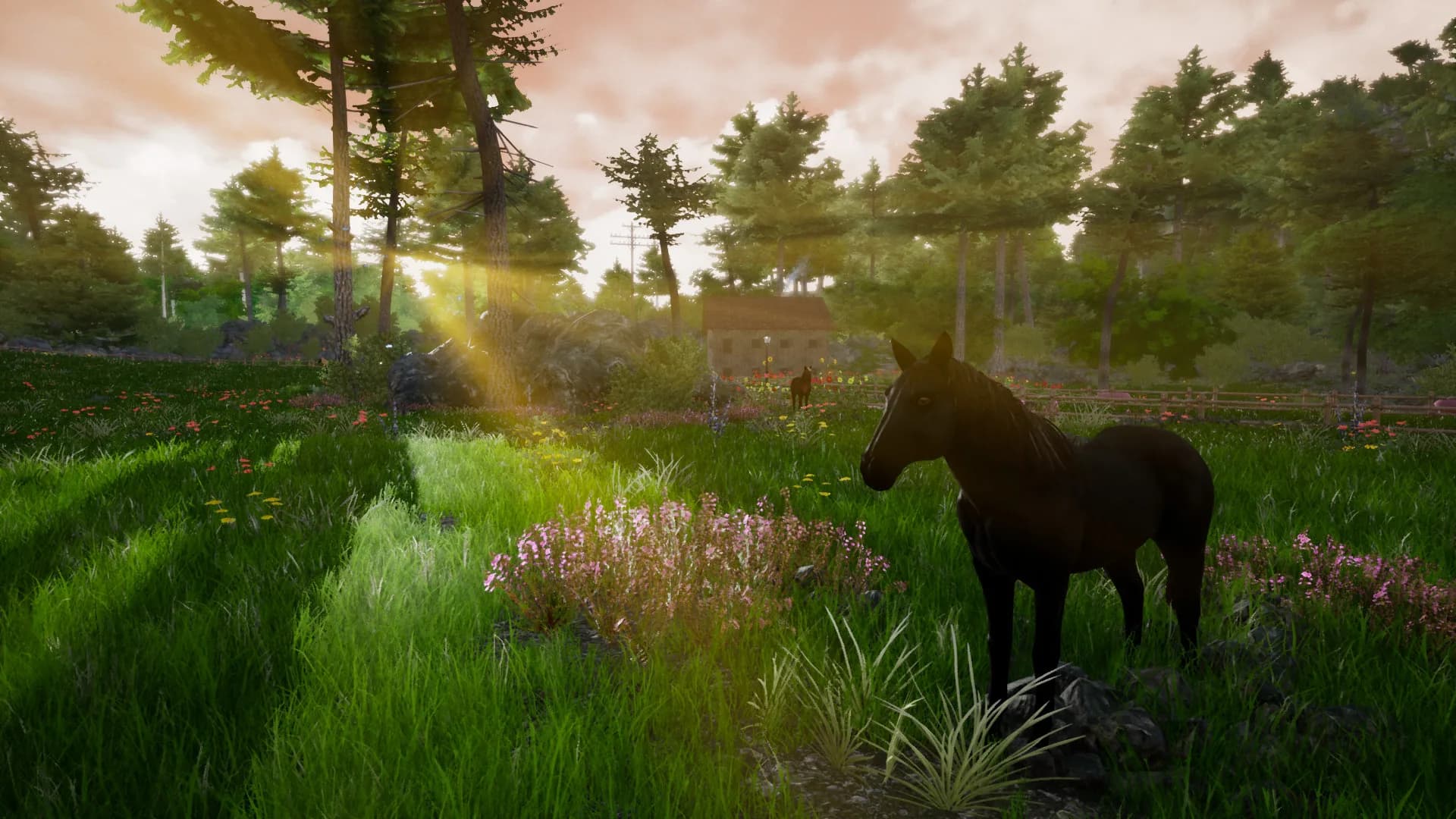 Horse Riding Deluxe 2 görsel 8