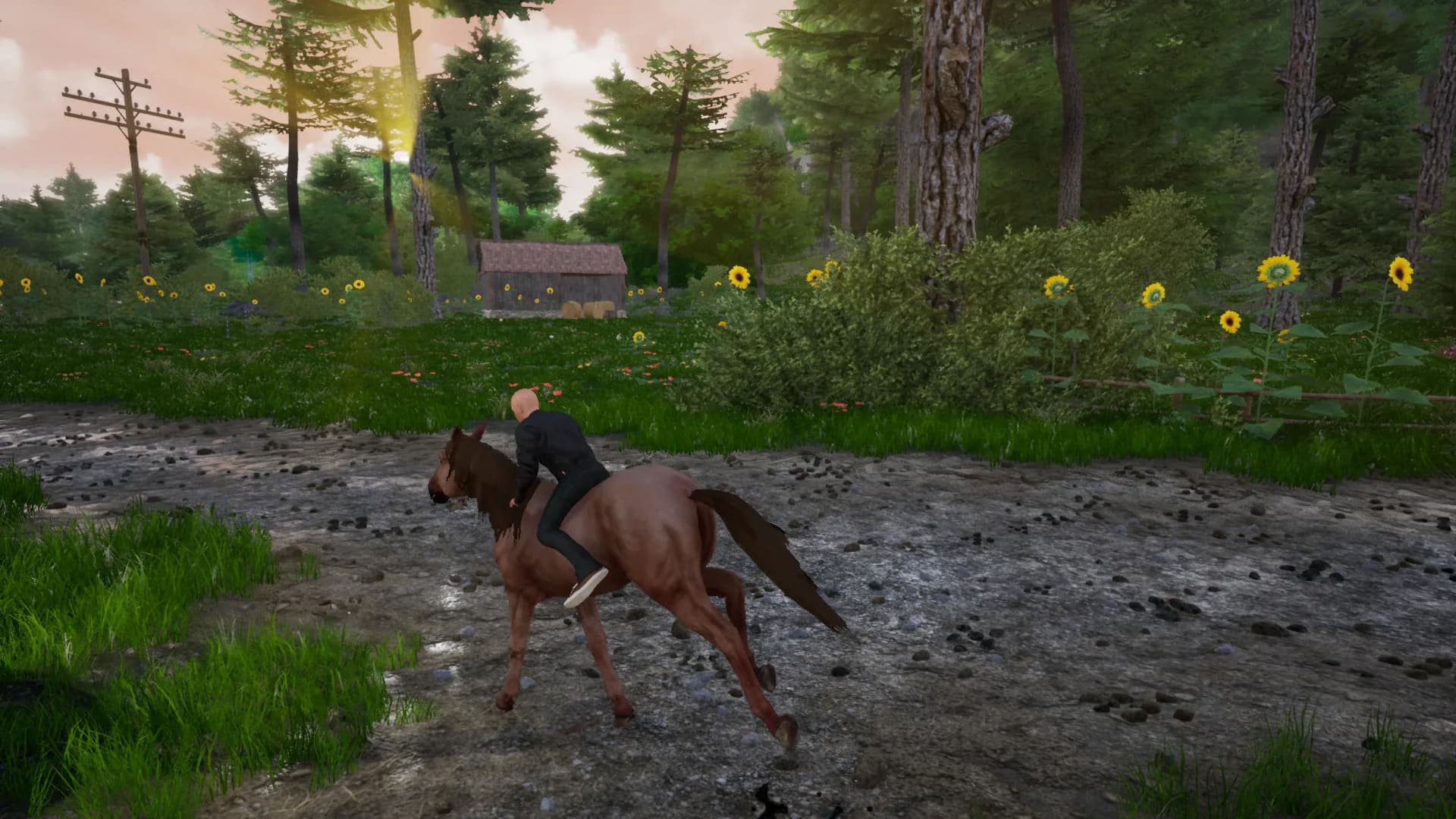 Horse Riding Deluxe 2 görsel 9