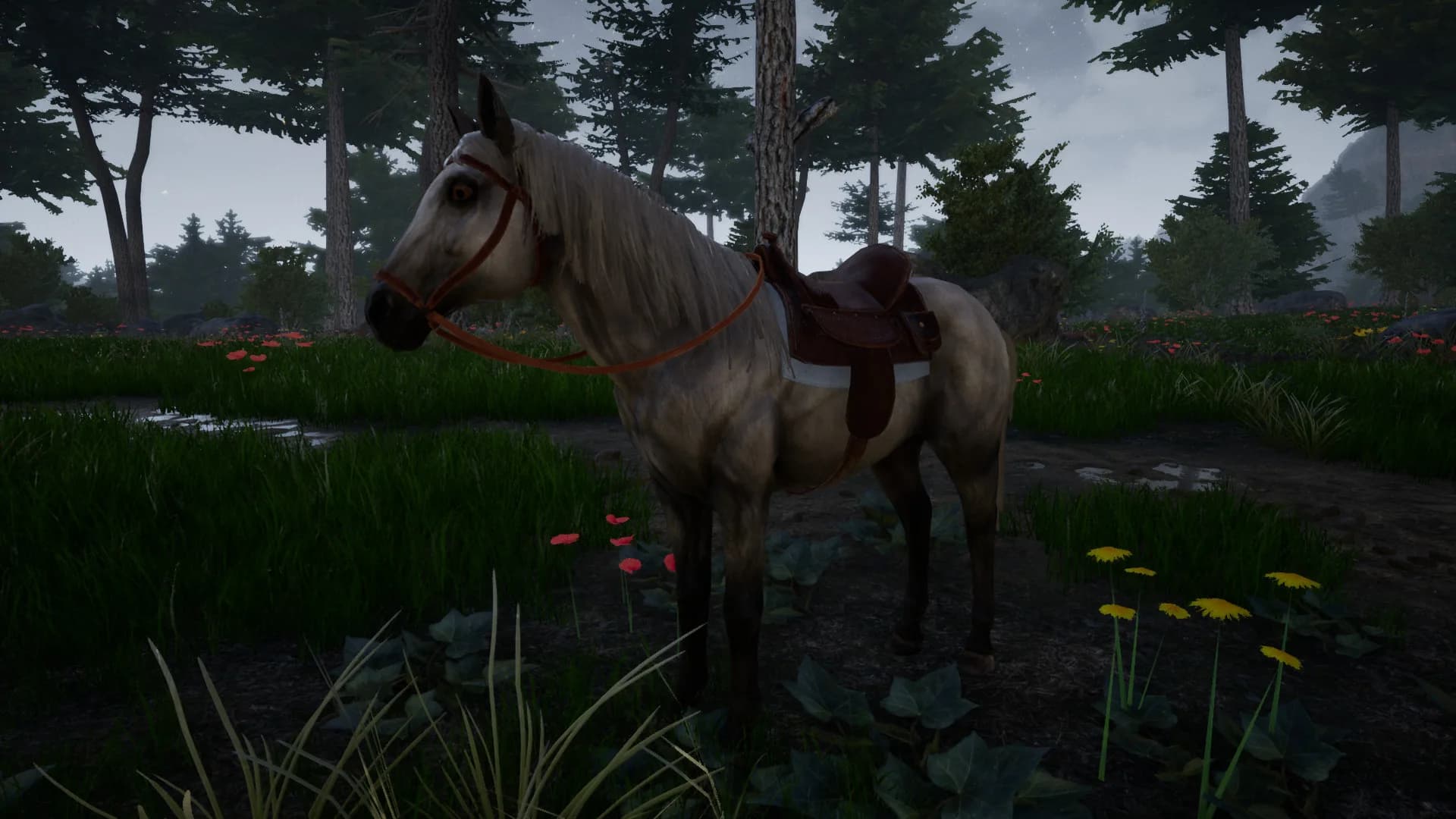 Horse Riding Deluxe 2 görsel 11
