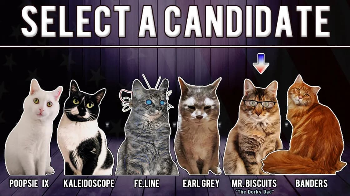 Cat President 2: Purrlitical Revolution görsel 8