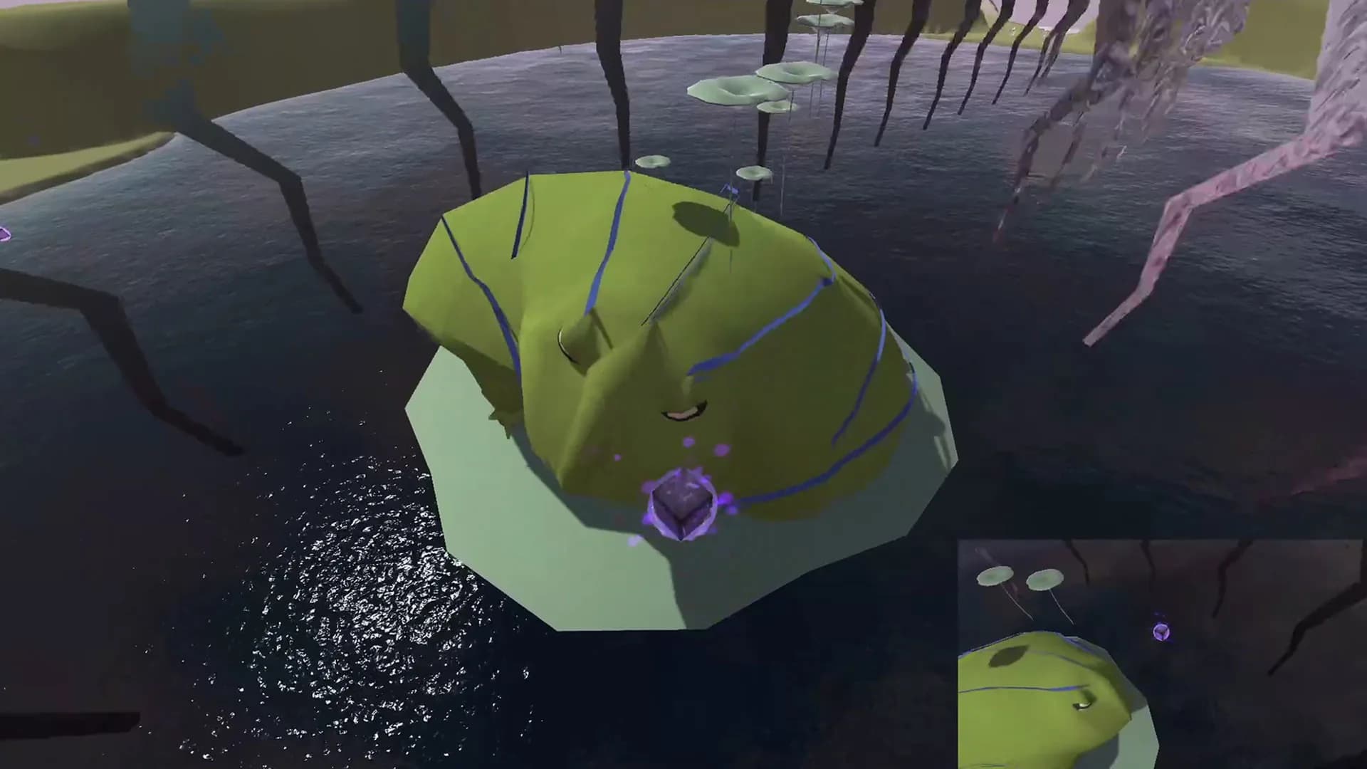 Frog Space görsel 11