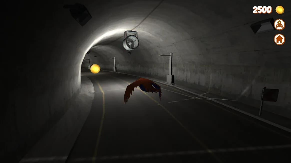 Bird Missions görsel 5
