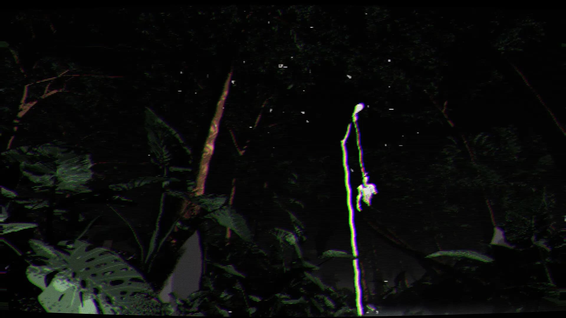 Borneo: A Jungle Nightmare görsel 6