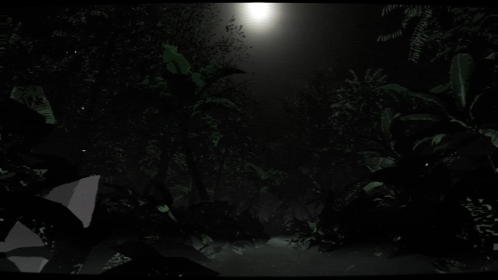 Borneo: A Jungle Nightmare görsel 9