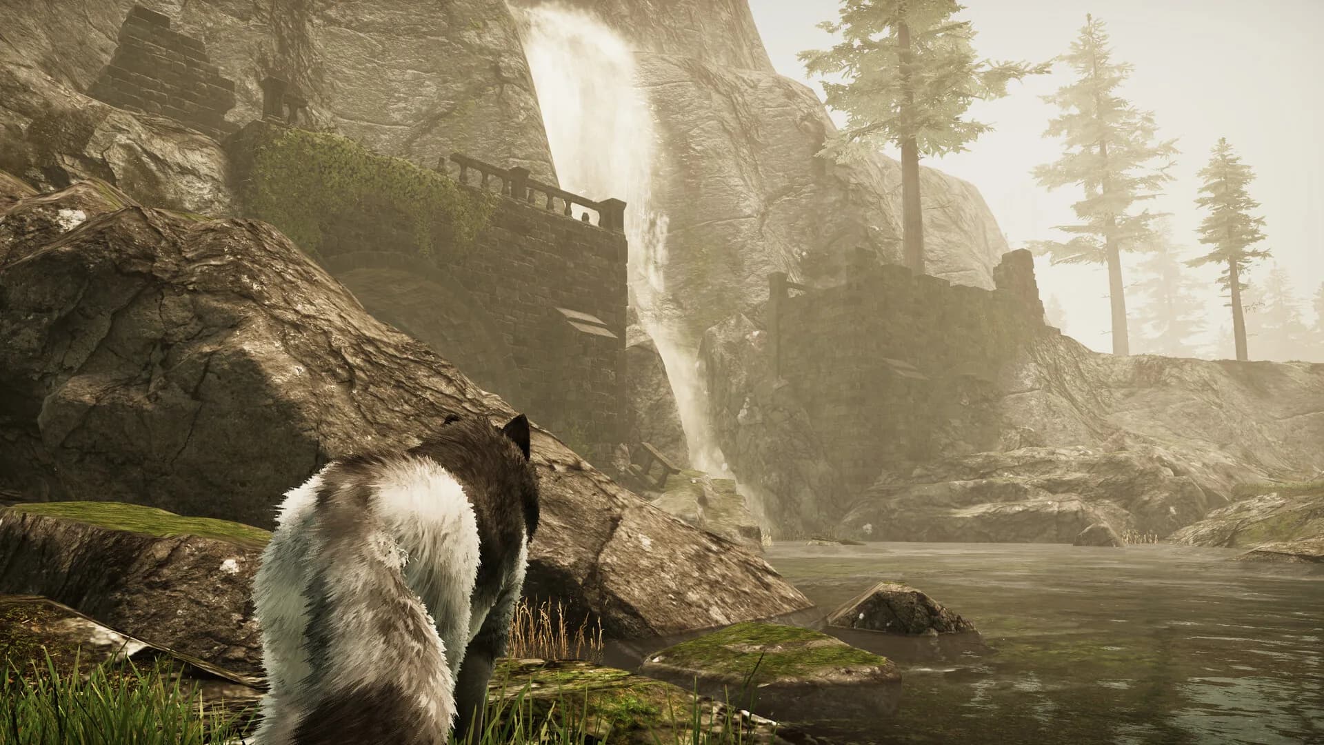 Tale Of A Wolf görsel 2