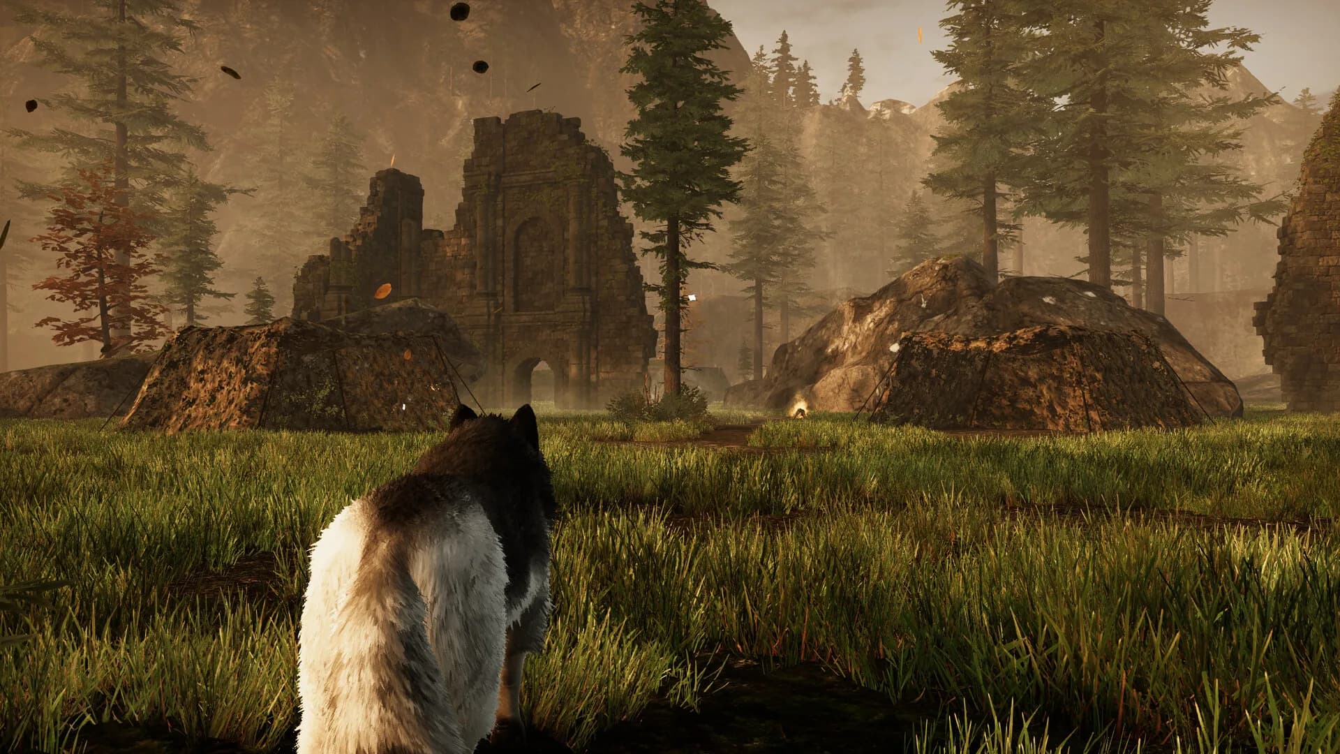 Tale Of A Wolf görsel 3