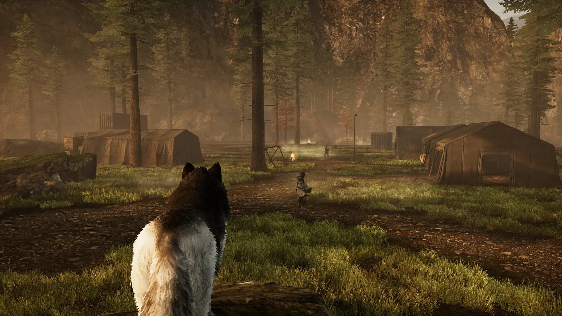 Tale Of A Wolf görsel 4