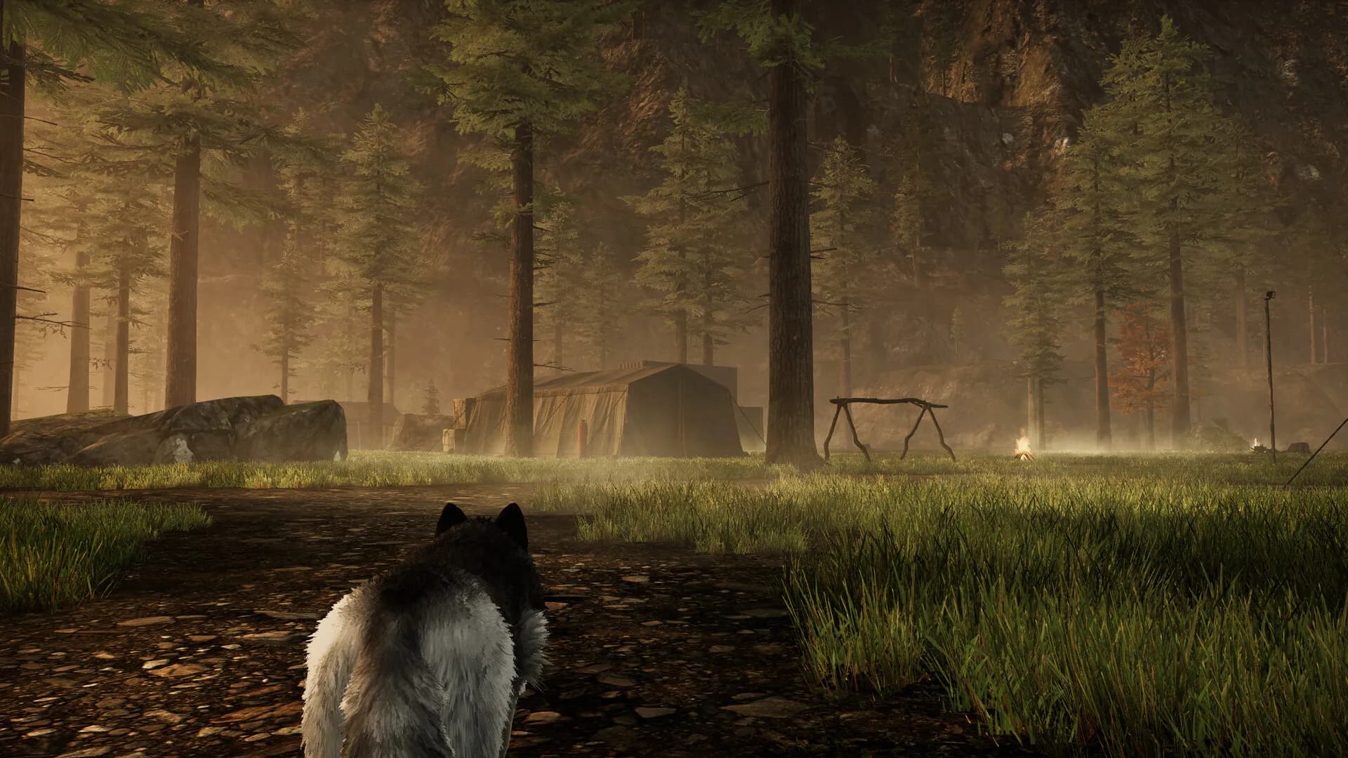 Tale Of A Wolf görsel 5