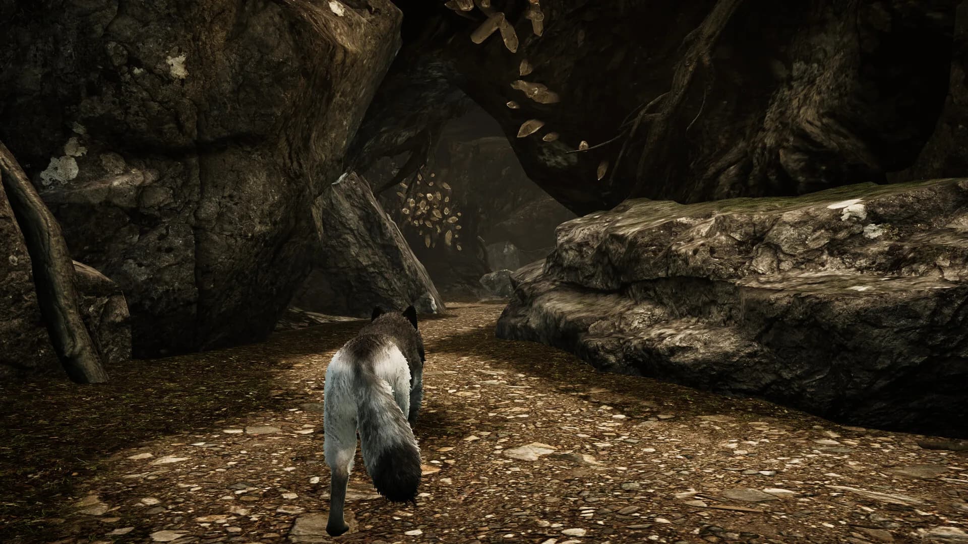 Tale Of A Wolf görsel 6