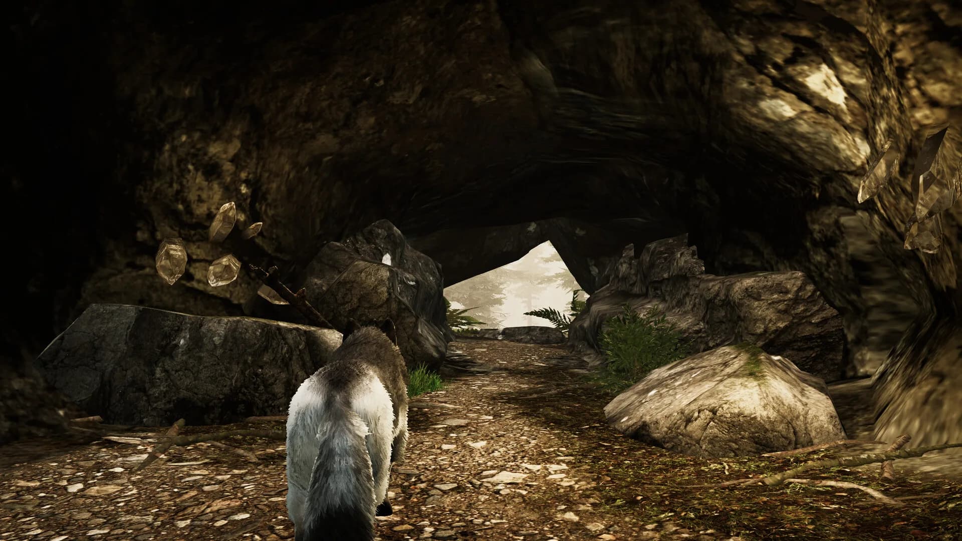 Tale Of A Wolf görsel 7