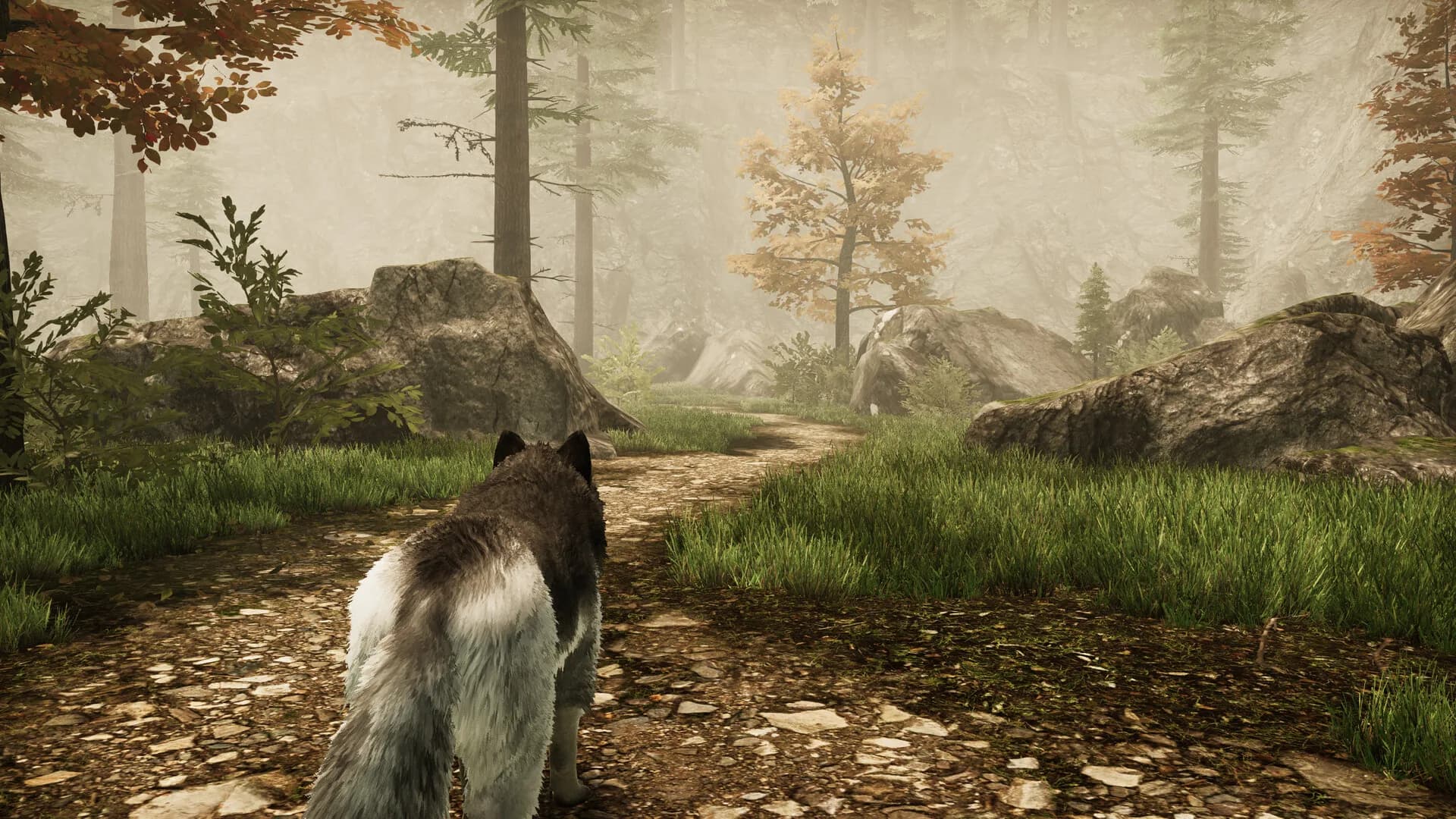 Tale Of A Wolf görsel 8
