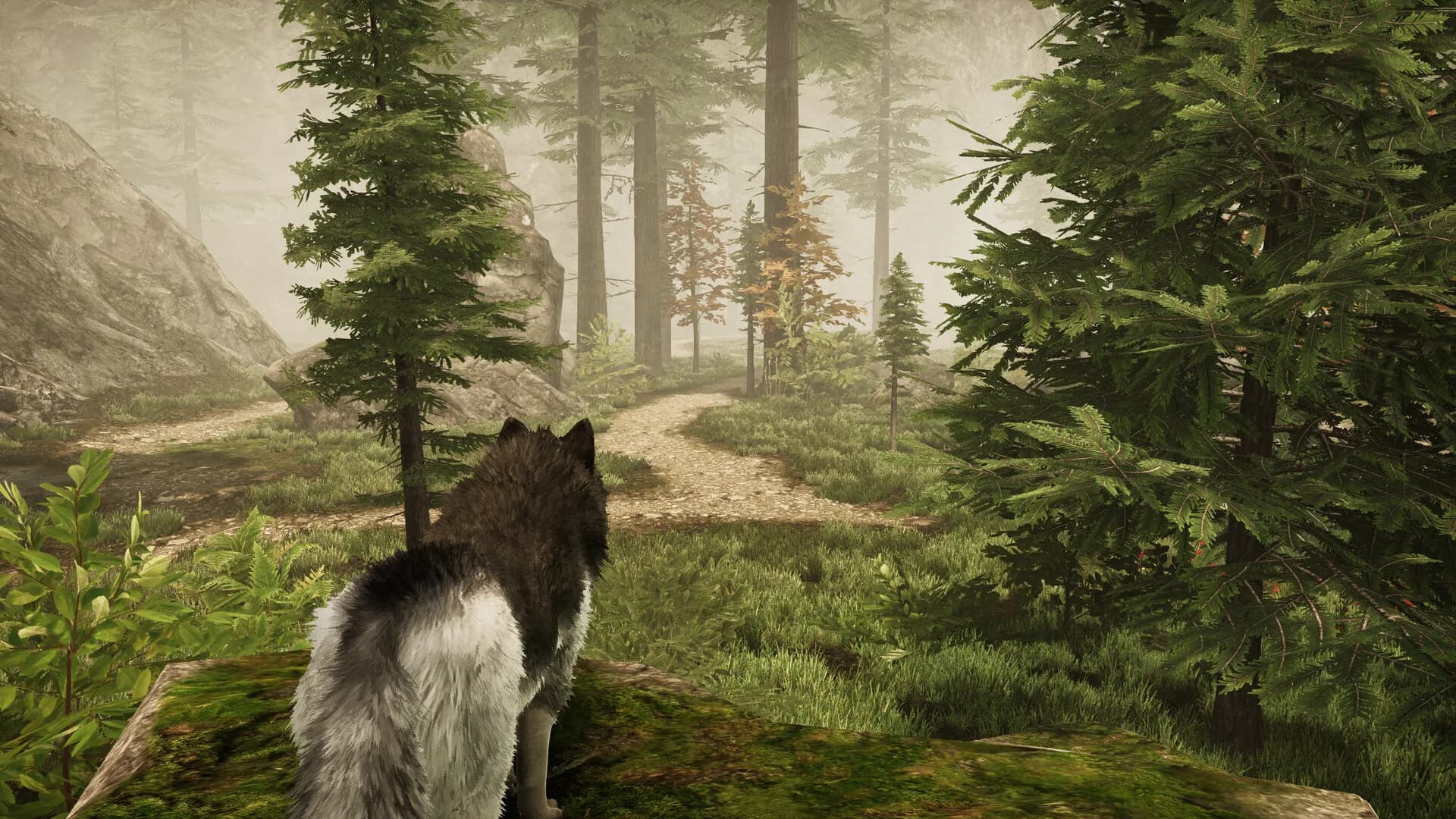 Tale Of A Wolf görsel 10