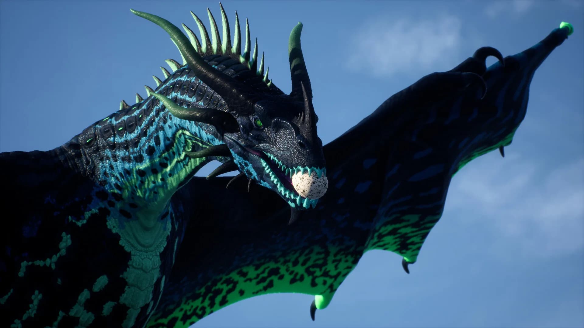 Draconia görsel 5