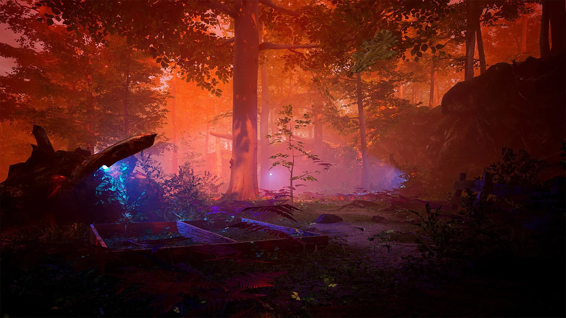 The Fabled Woods görsel 6