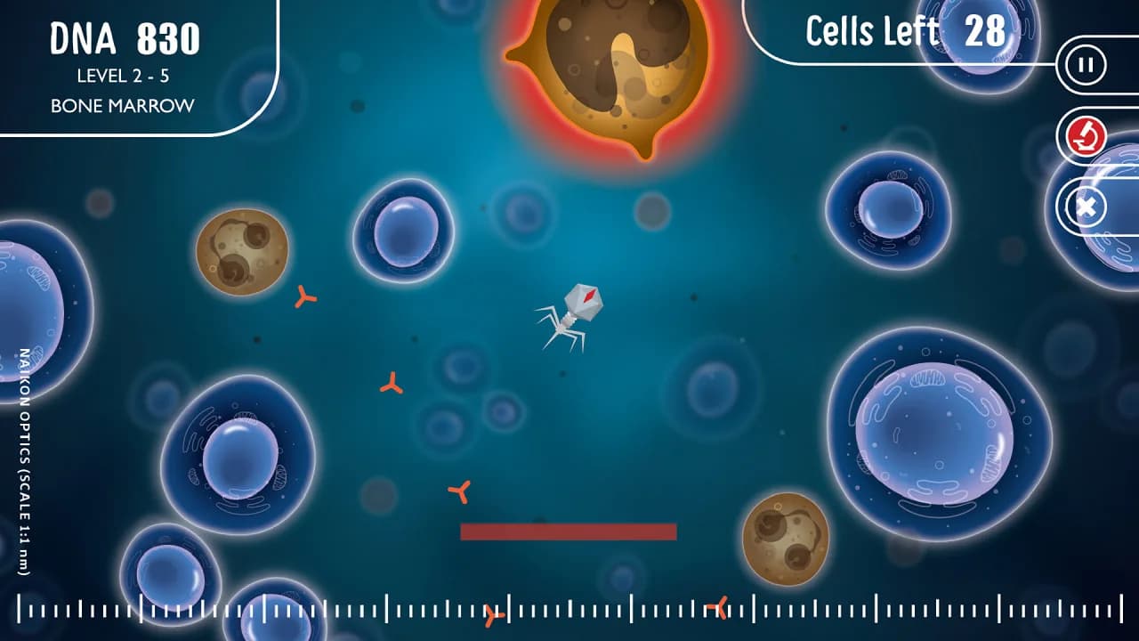 Infectious görsel 4