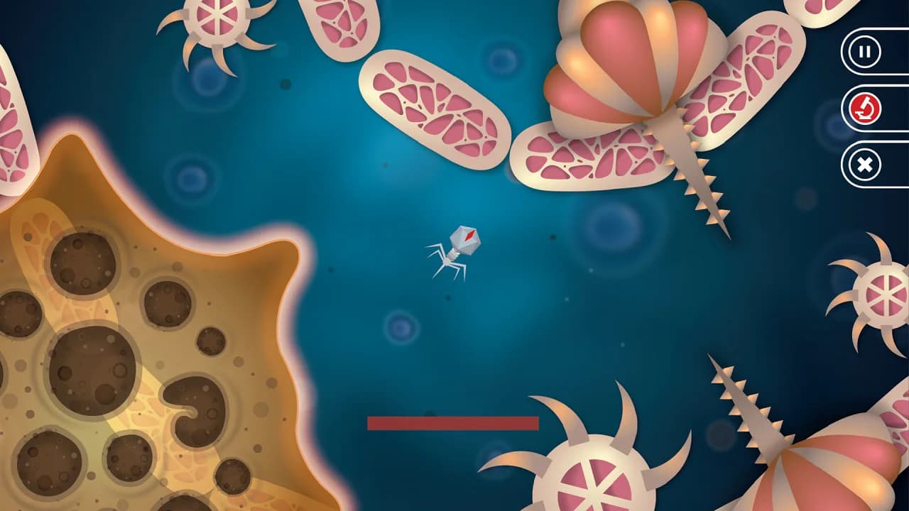 Infectious görsel 9