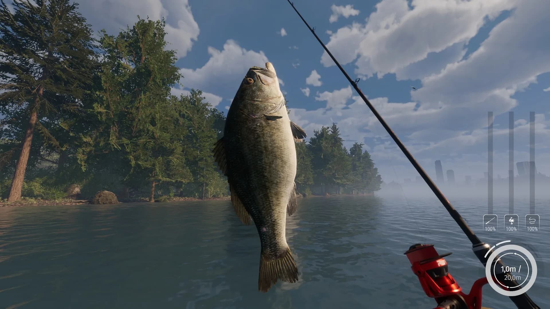 MLF: Pro Catch görsel 2