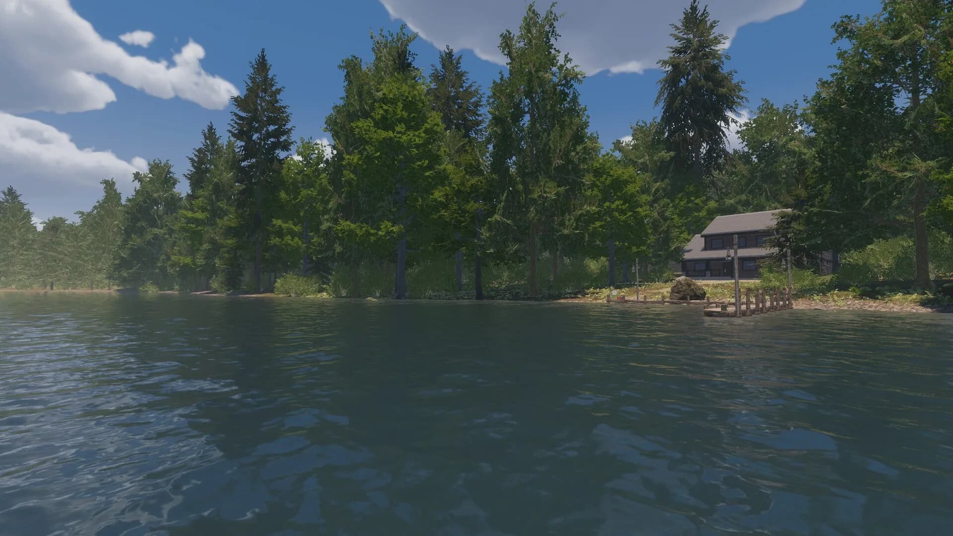 MLF: Pro Catch görsel 17