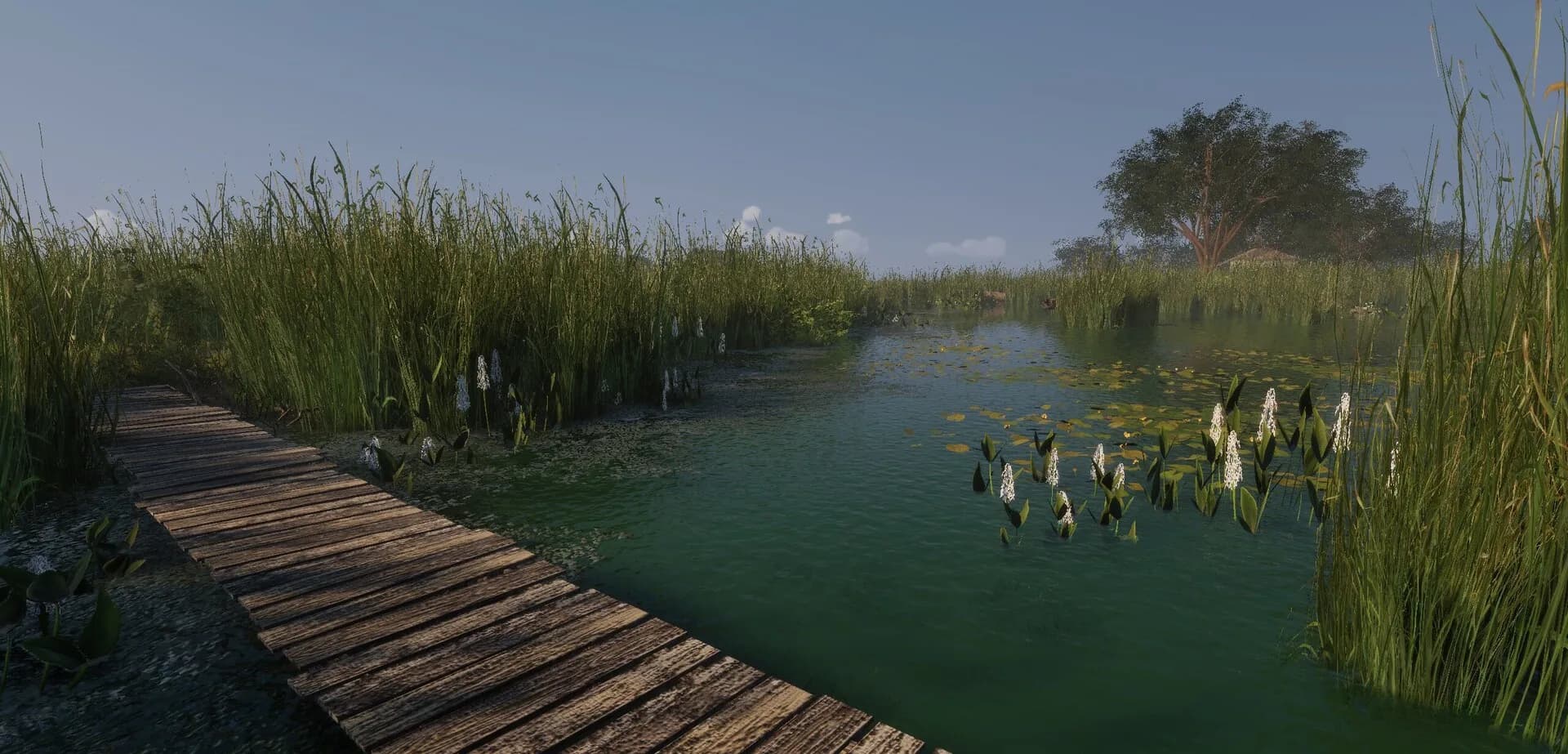 MLF: Pro Catch görsel 5