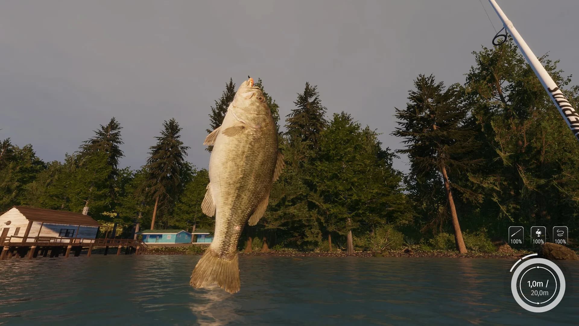 MLF: Pro Catch görsel 11