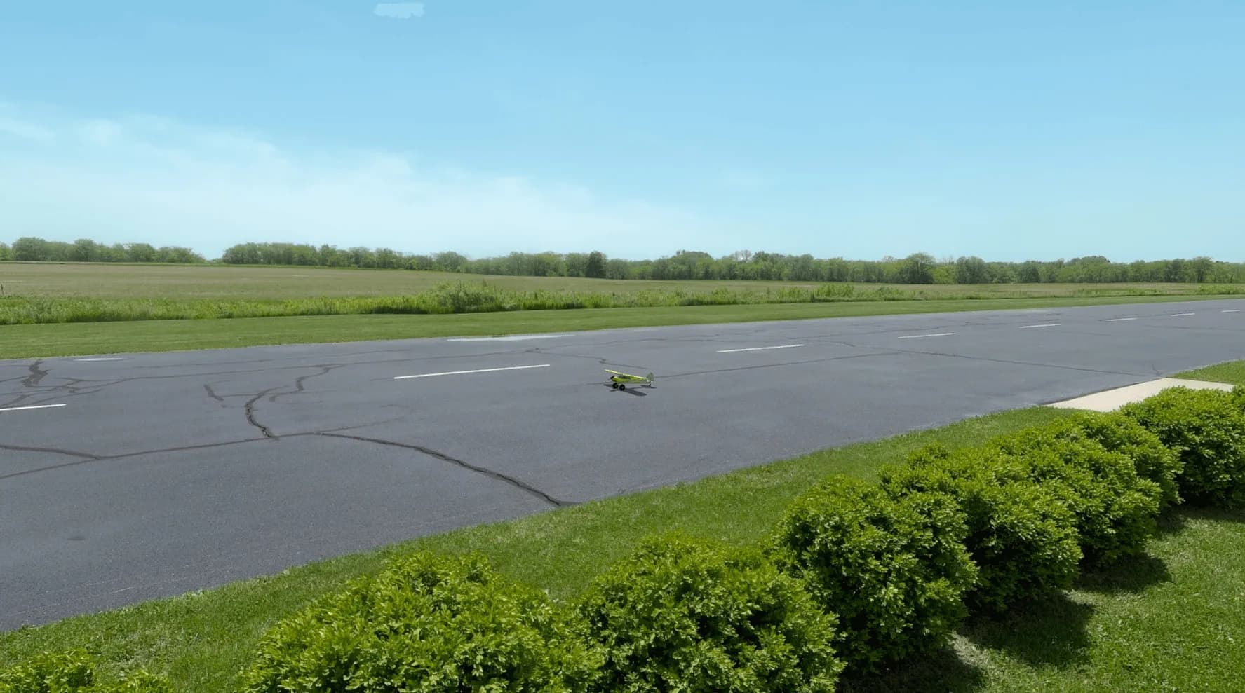 RealFlight Trainer Edition görsel 3