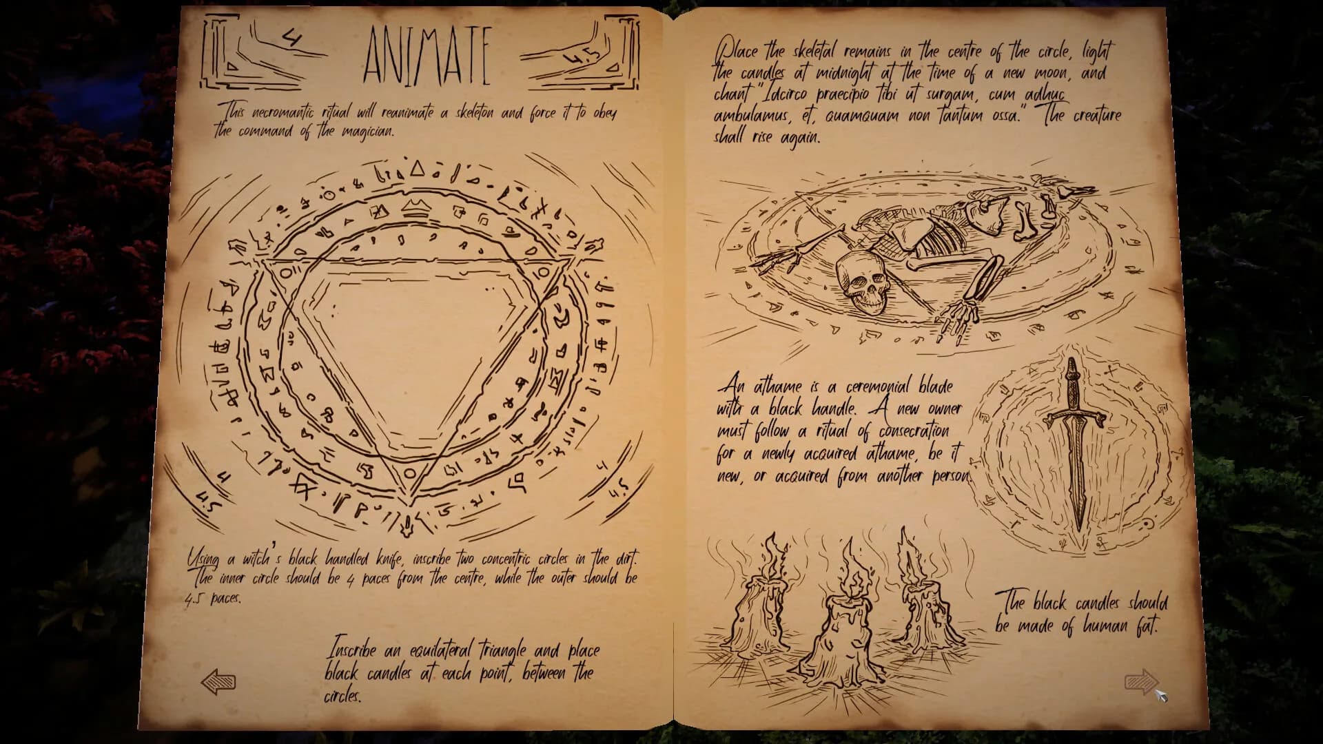 The Necromancer's Tale görsel 9