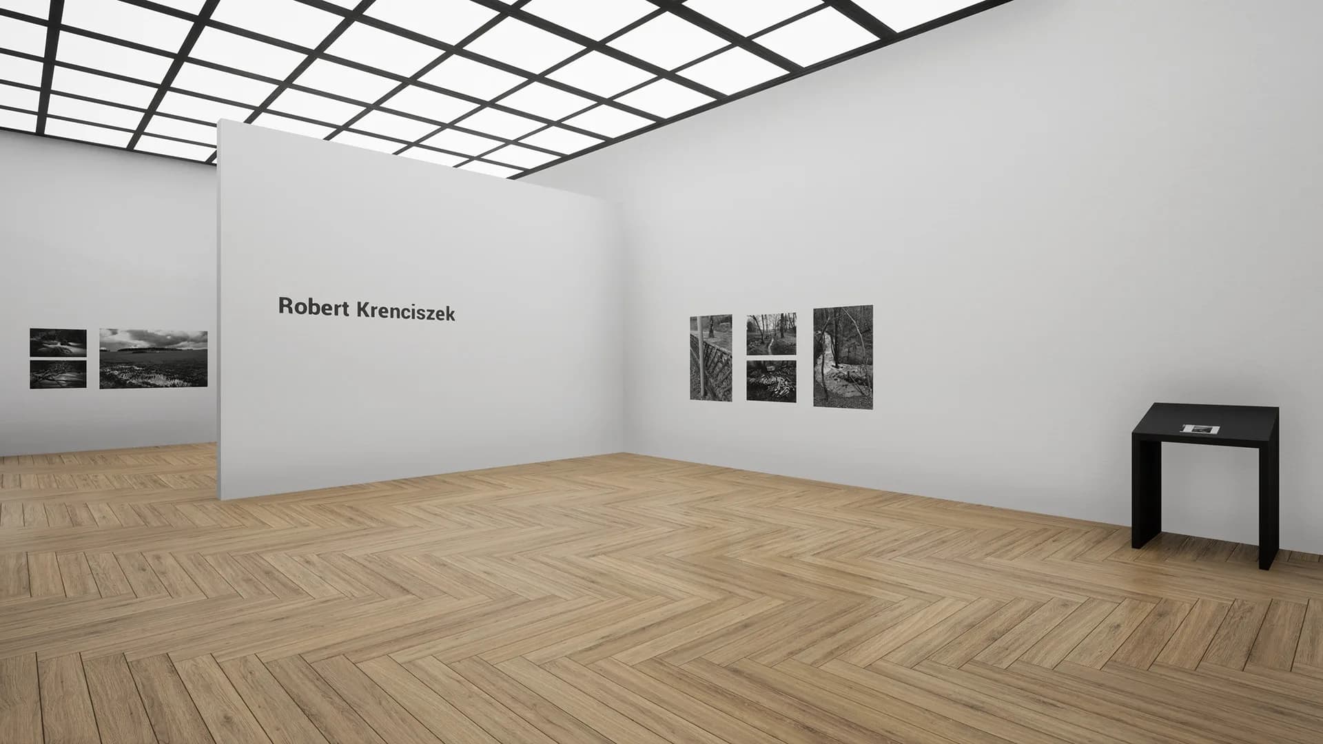 Virtual Exhibition görsel 4