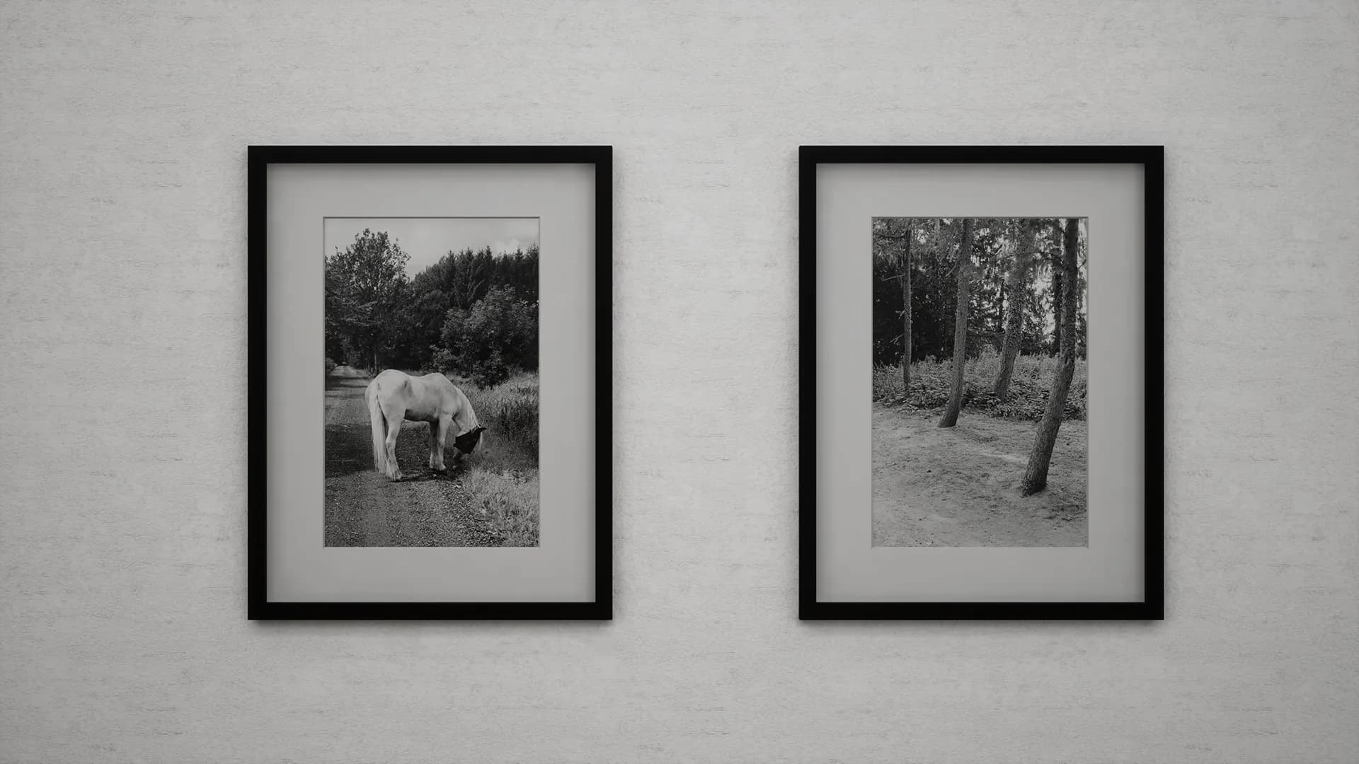Virtual Exhibition görsel 11