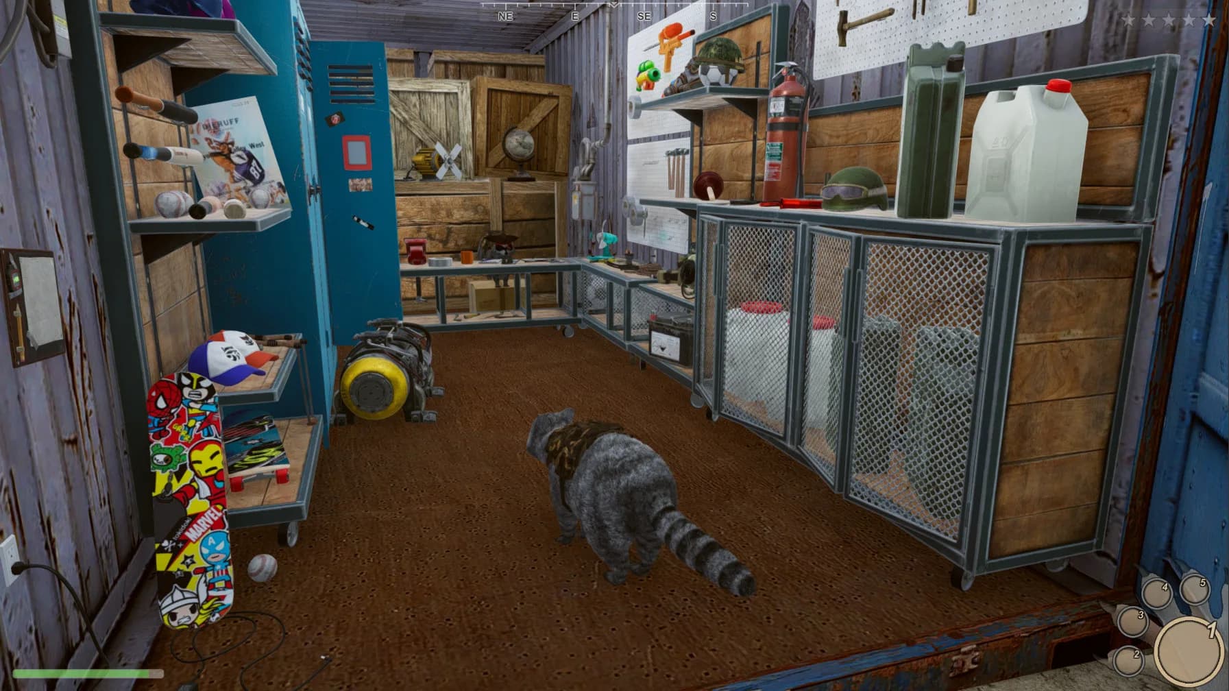 Wanted Raccoon görsel 12