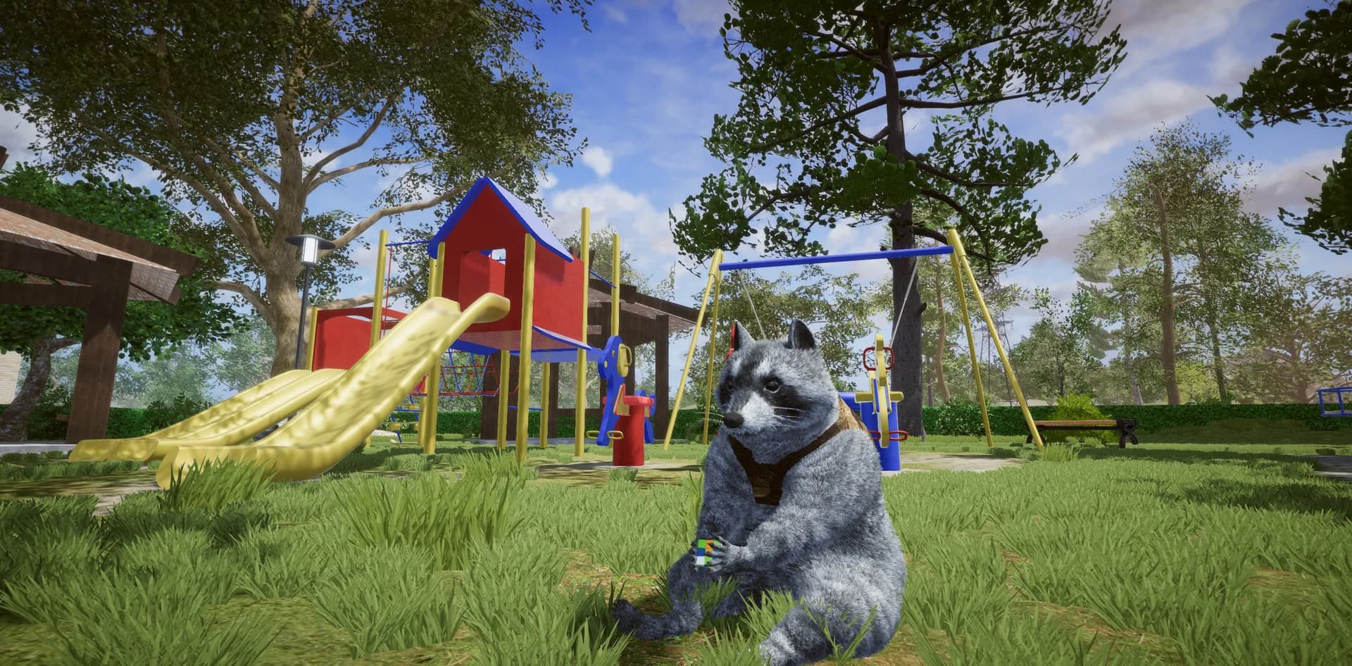 Wanted Raccoon görsel 40