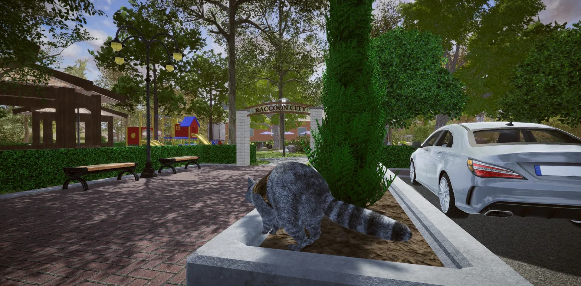 Wanted Raccoon görsel 41