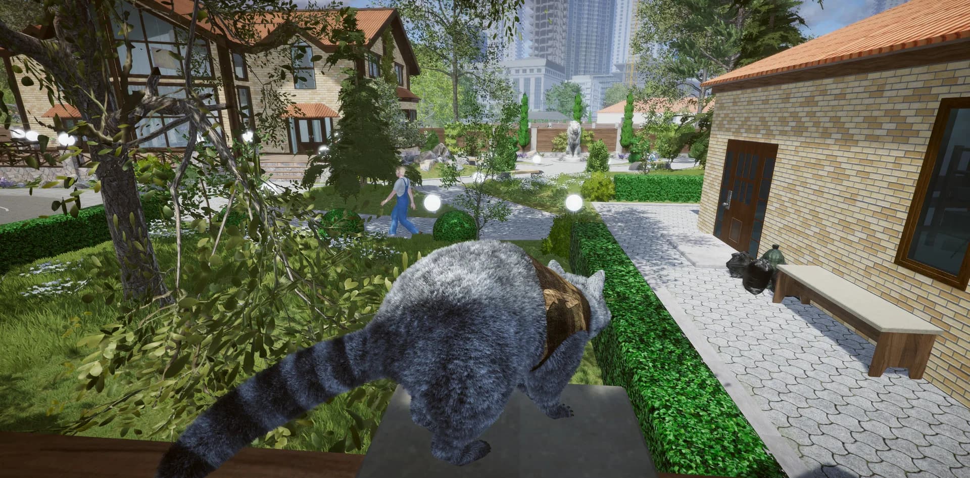 Wanted Raccoon görsel 42