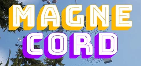 Magnecord görsel 1