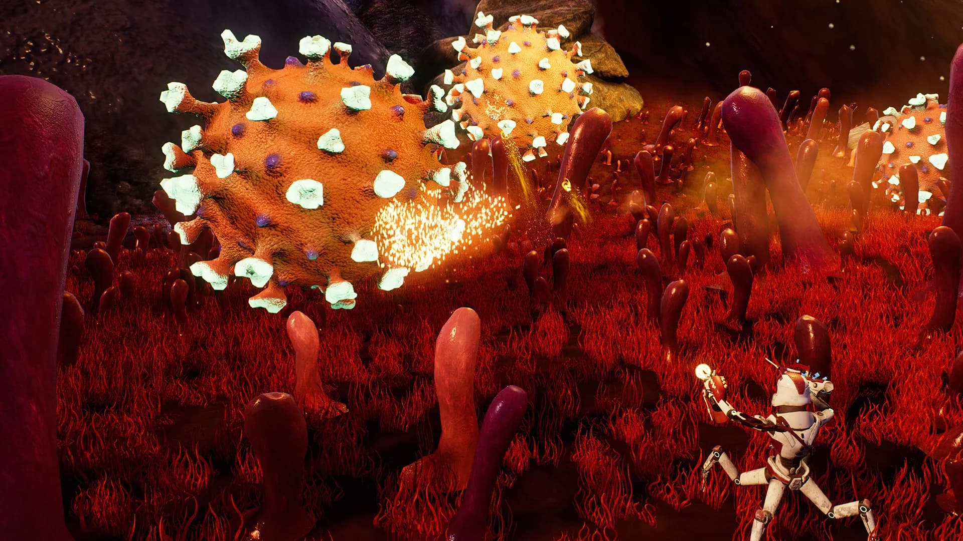 Virus Remedium görsel 4