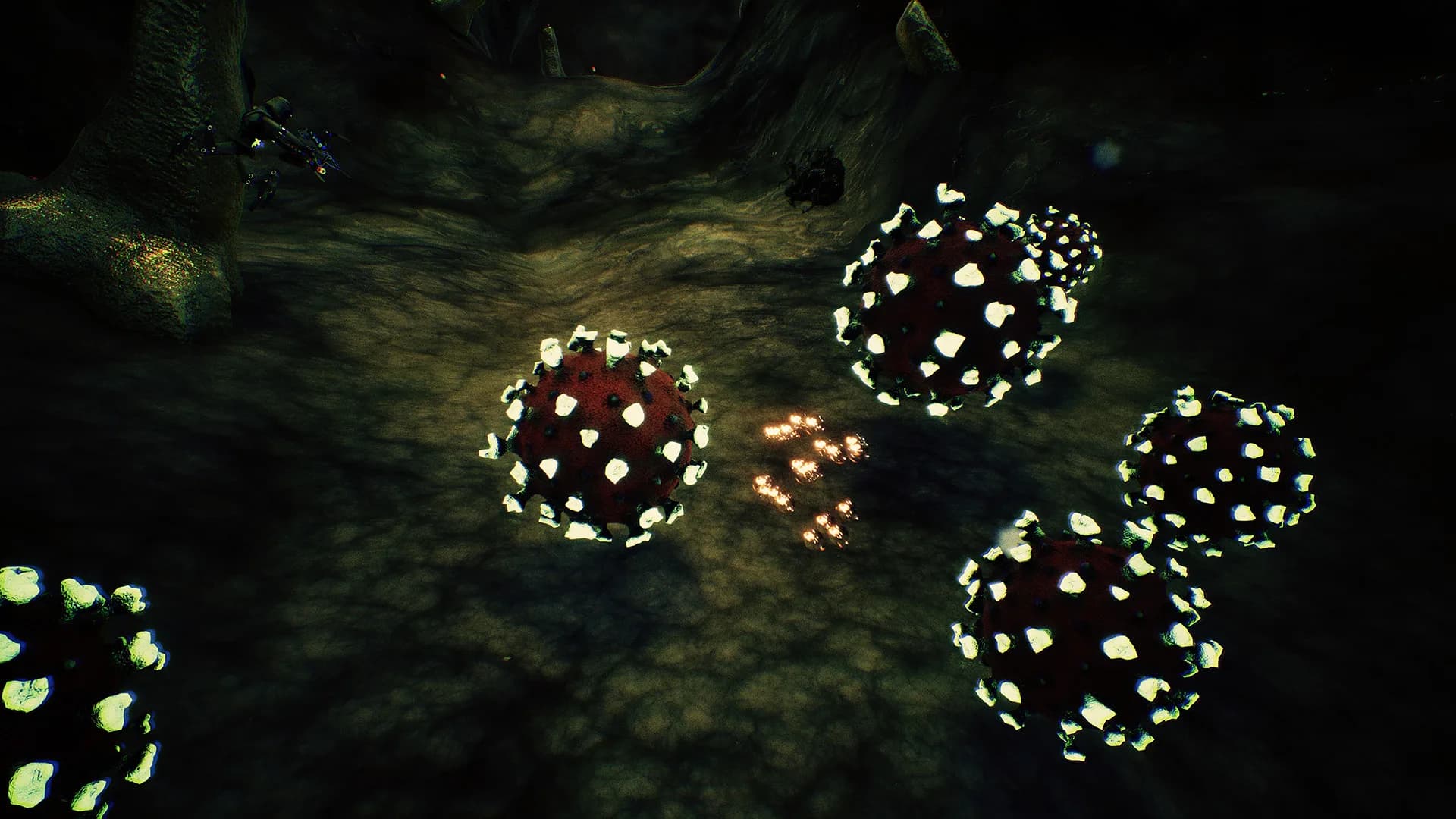 Virus Remedium görsel 8
