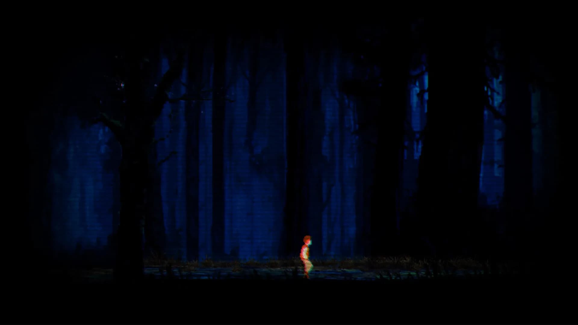 CAMP NIGHTWOOD görsel 7