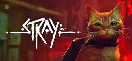 Stray görsel 1