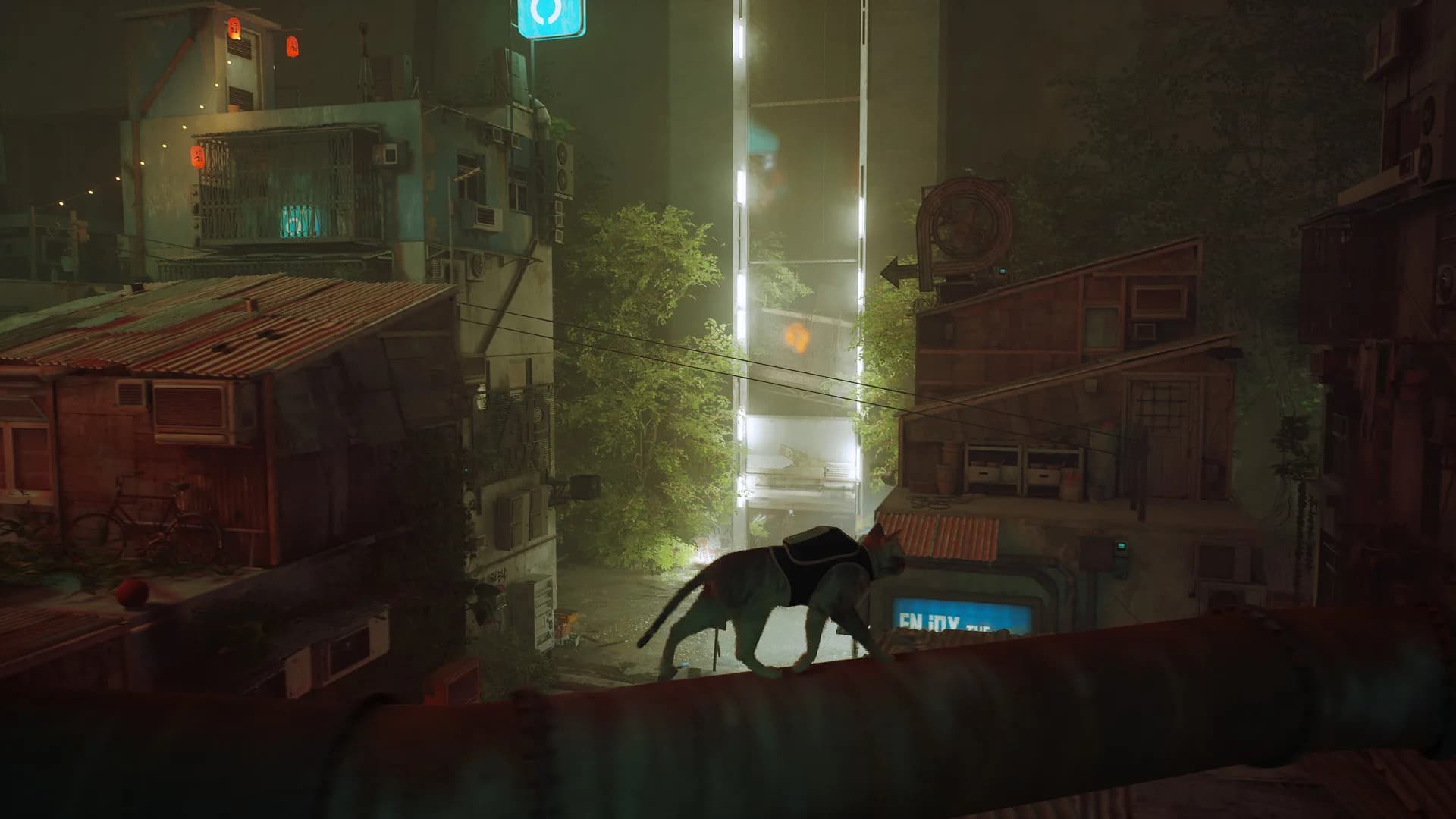 Stray görsel 3