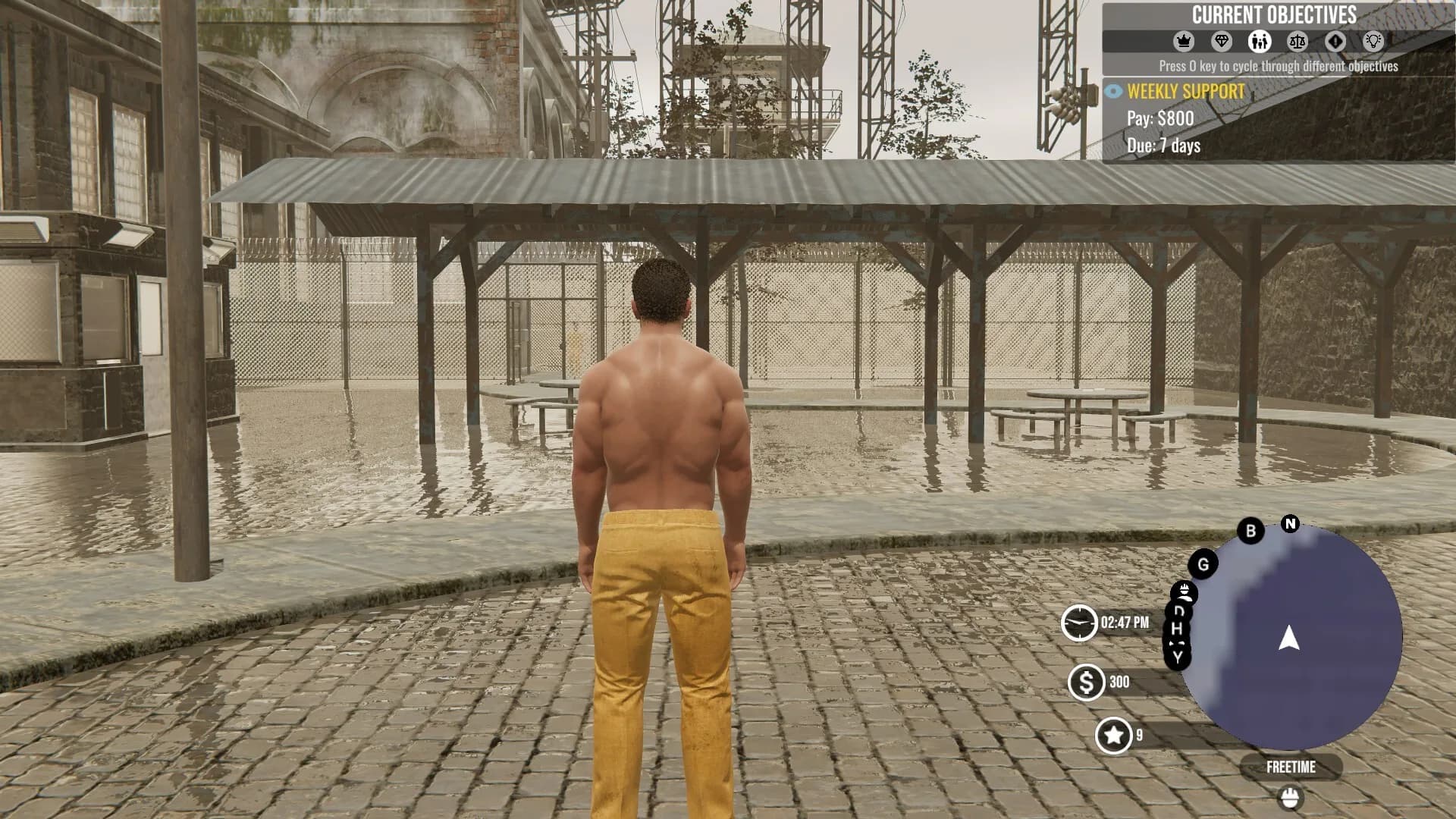 Project Prison görsel 2