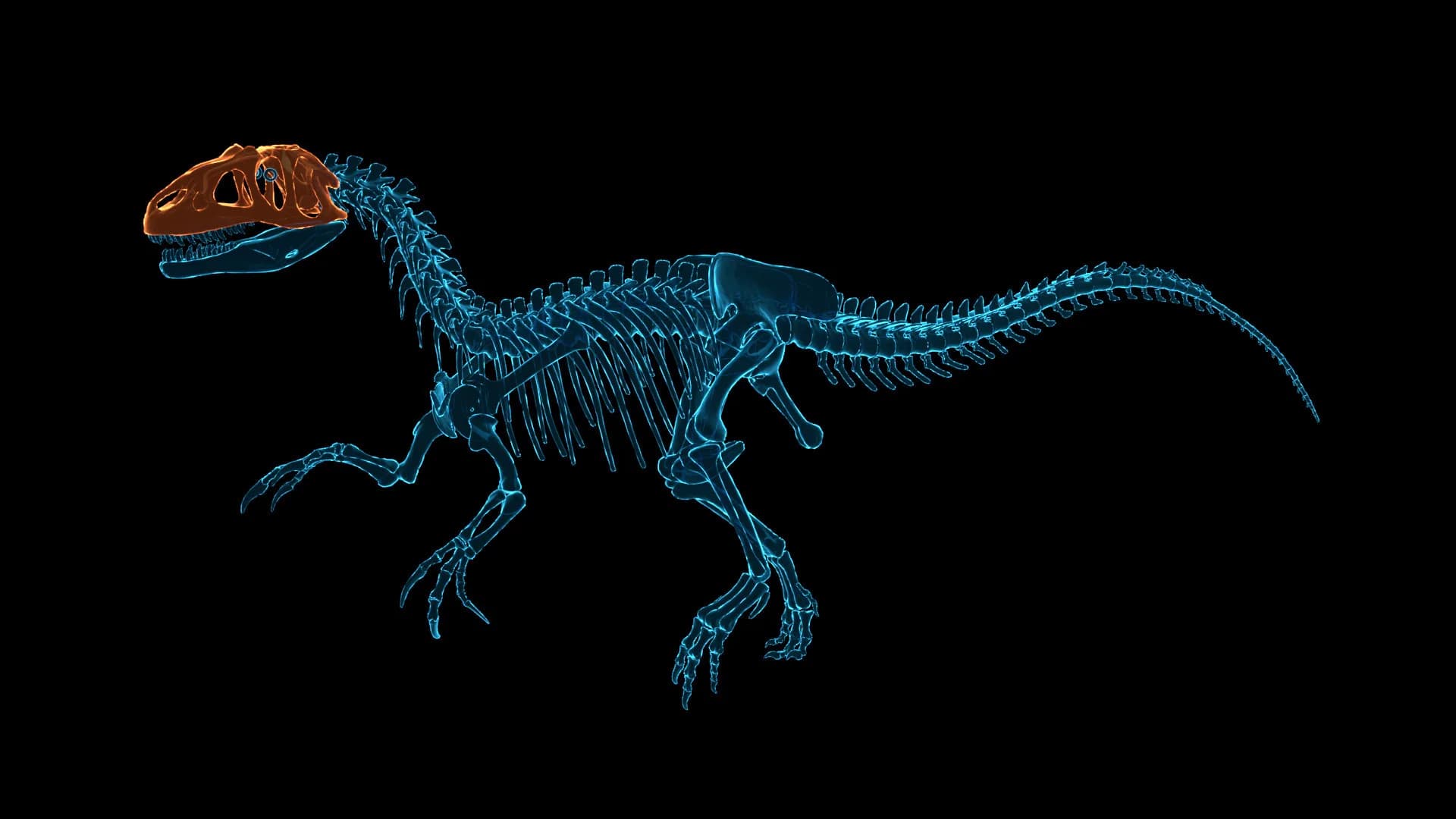 Dinosaur Fossil Hunter: Prologue görsel 10