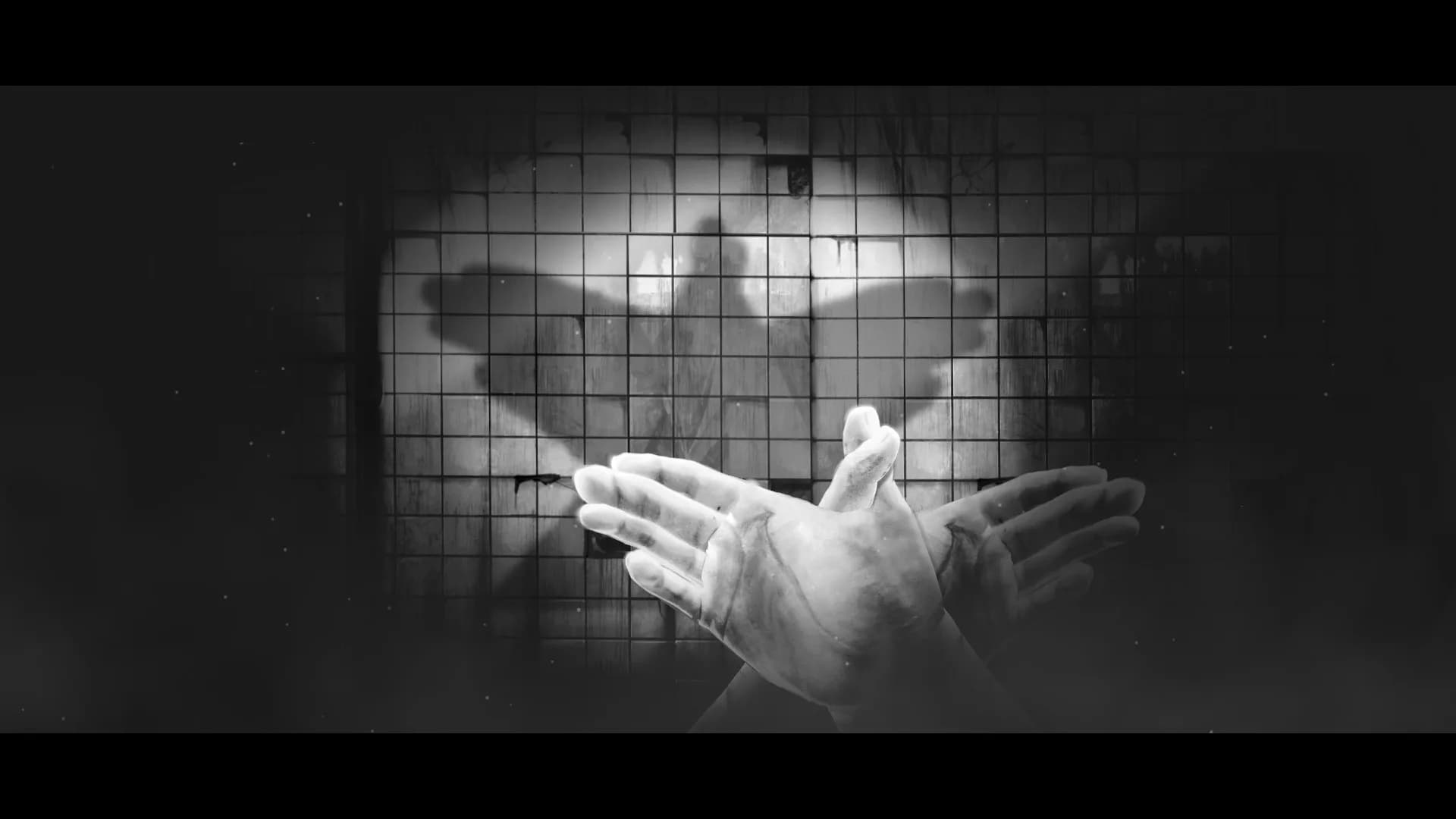 Hand Shadow görsel 3