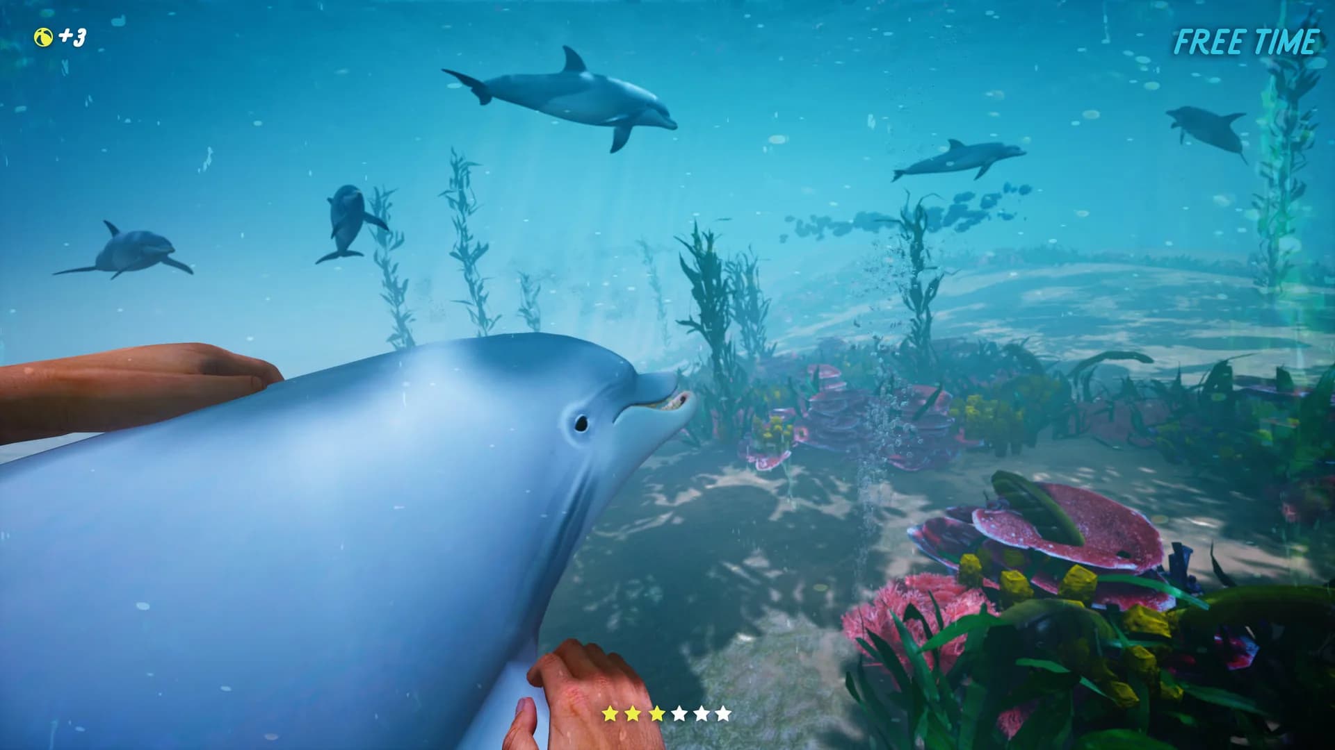 Dolphin Trainer VR görsel 2
