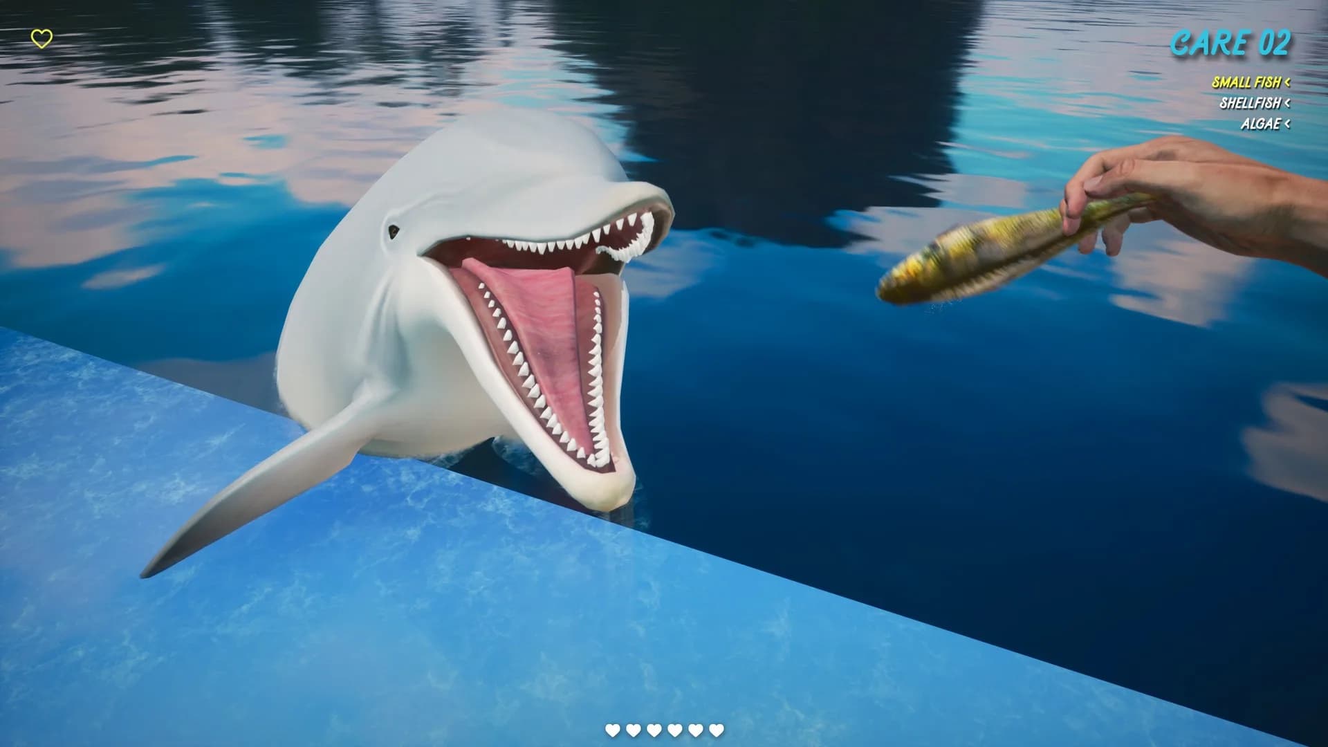 Dolphin Trainer VR görsel 4