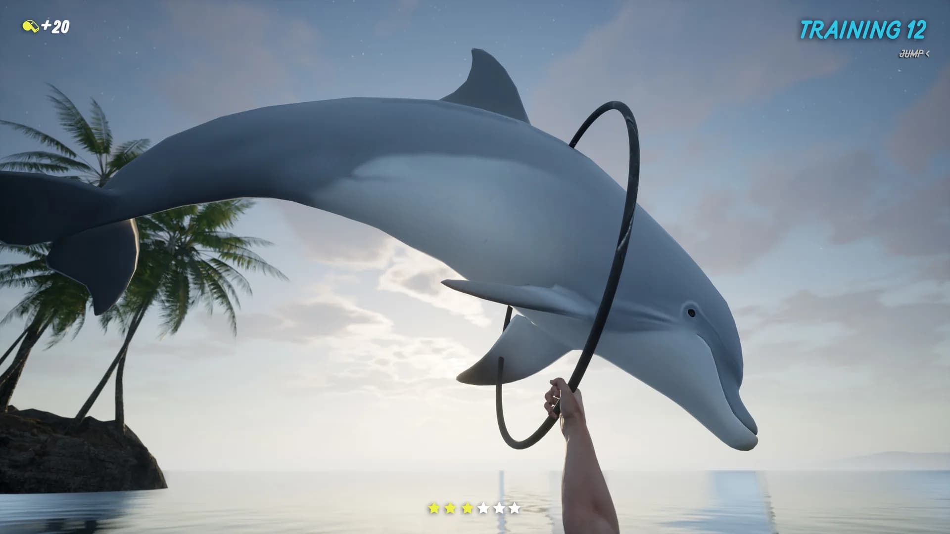 Dolphin Trainer VR görsel 5