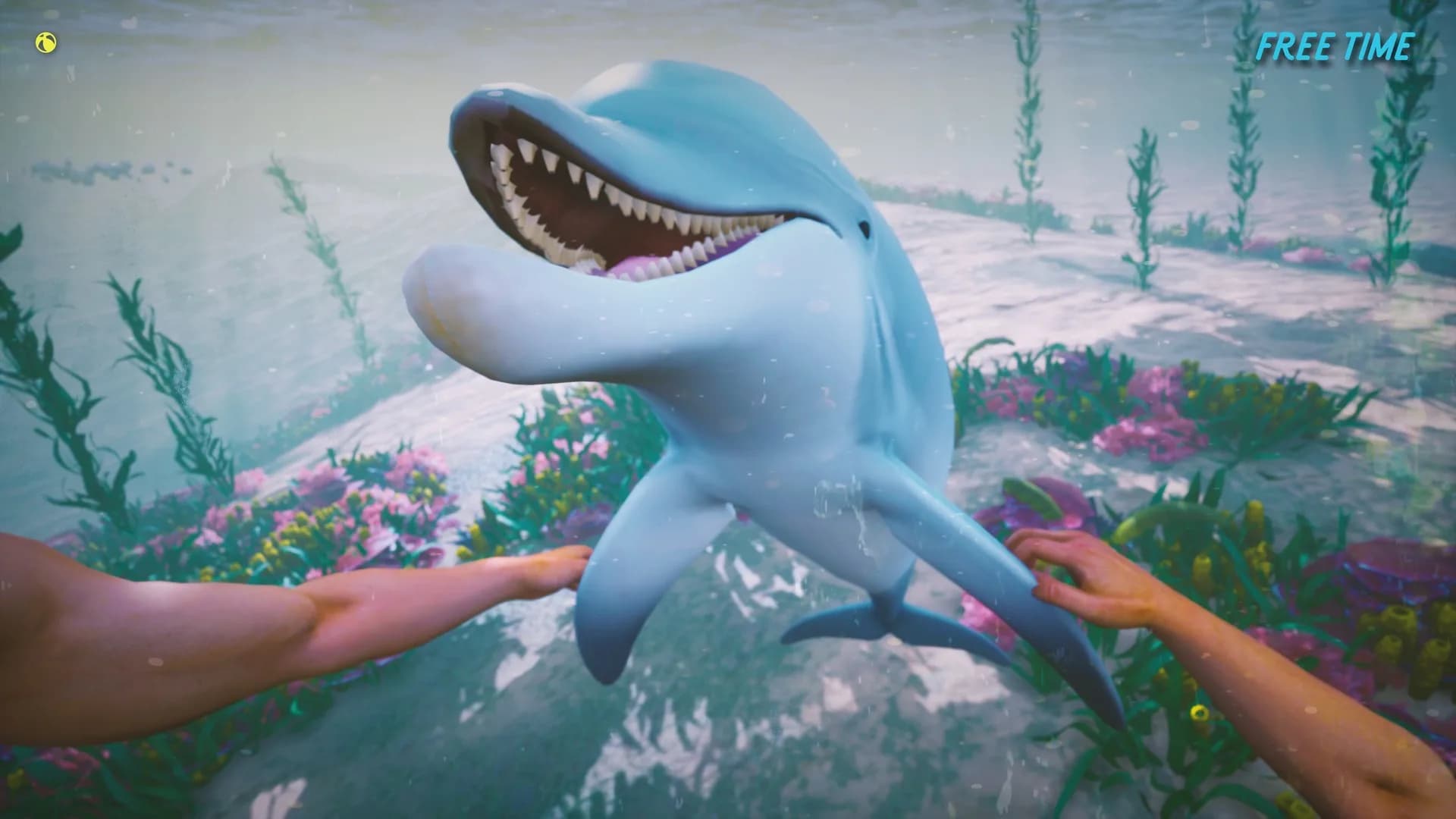 Dolphin Trainer VR görsel 6