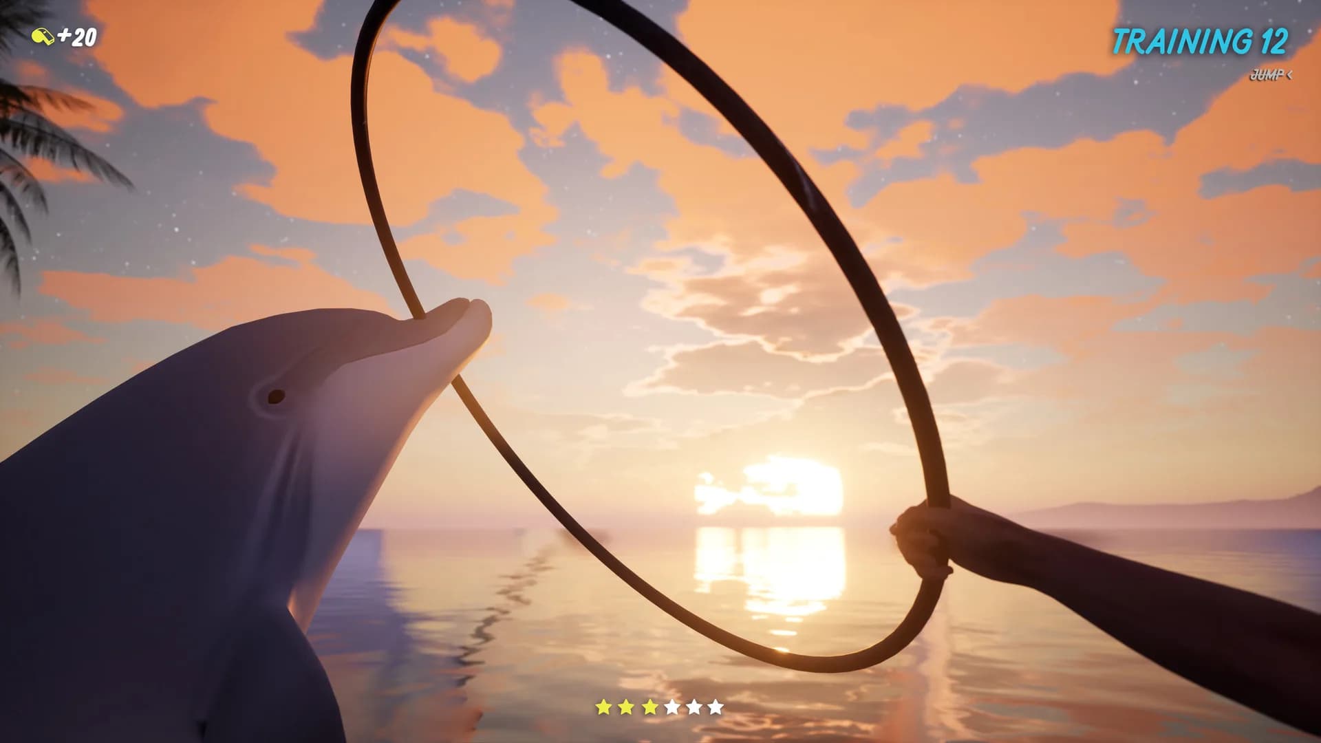 Dolphin Trainer VR görsel 8