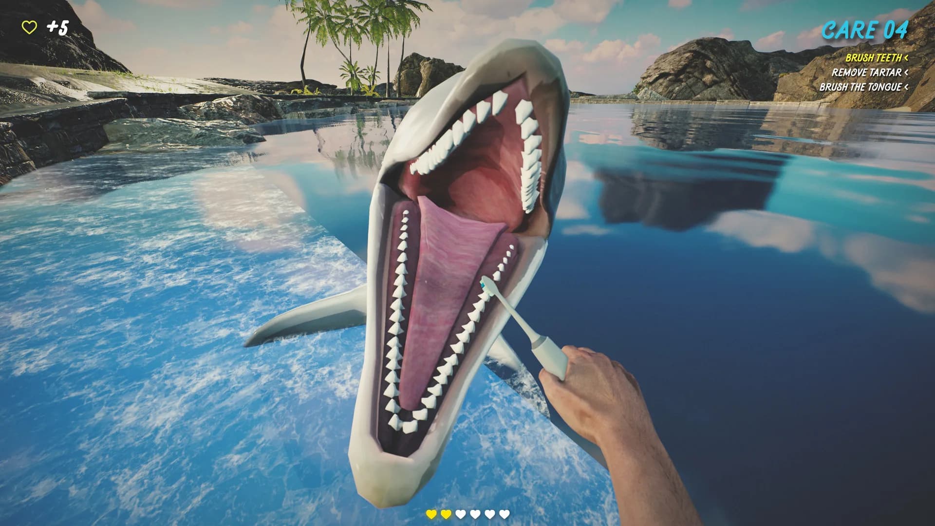 Dolphin Trainer VR görsel 10