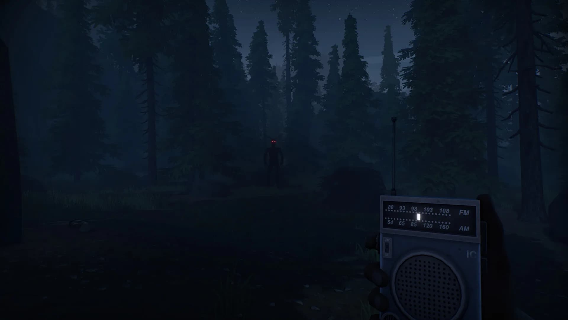 Radiolight görsel 12