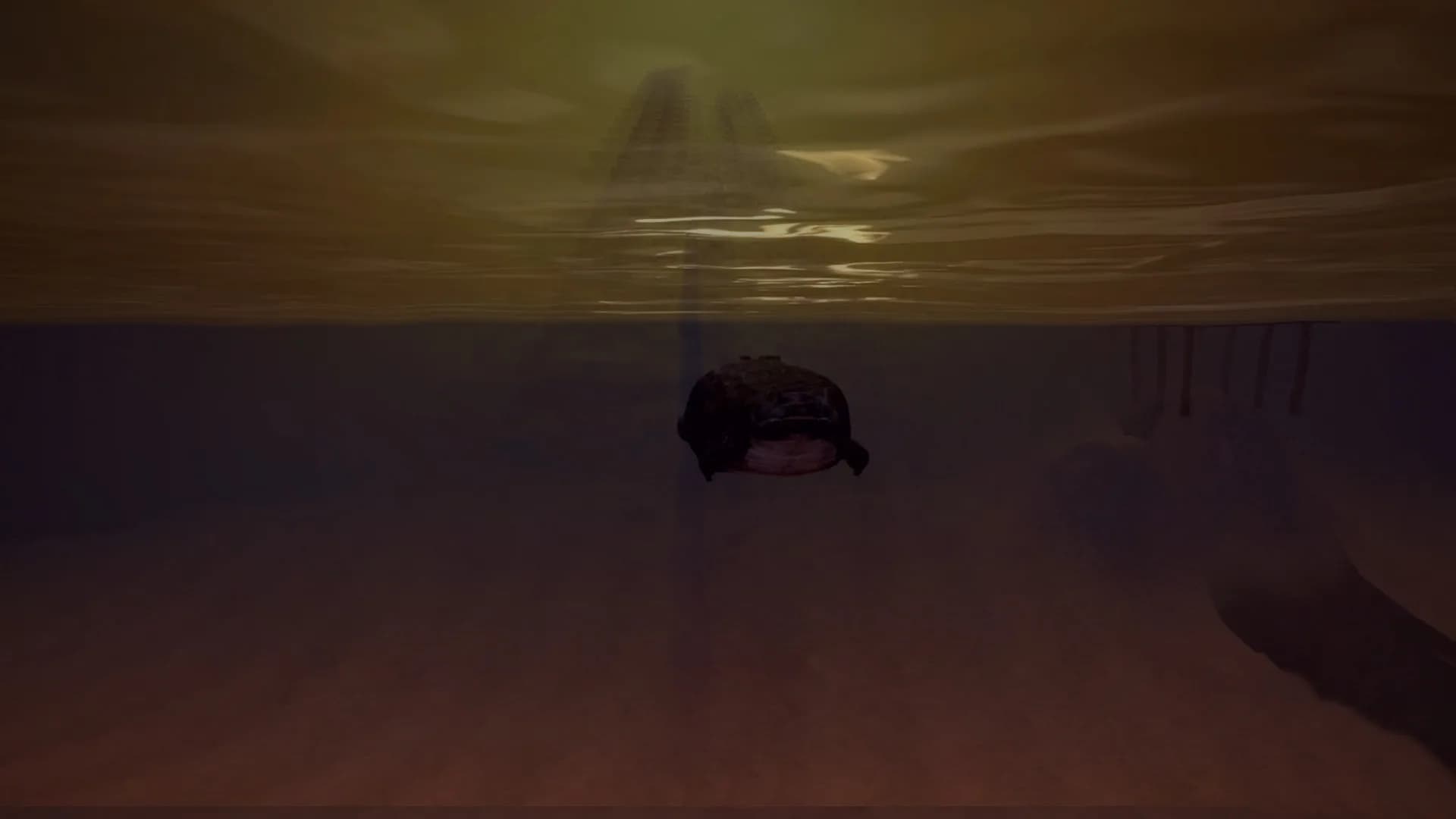 Florida Simulator 1986 görsel 4